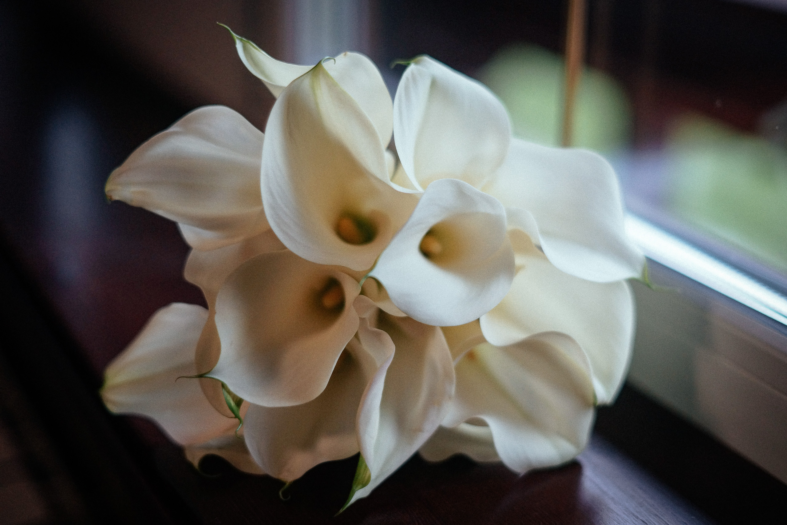 Маша и Рома. Репортажный фотограф в Новосибирске. Алексей Гриценко
