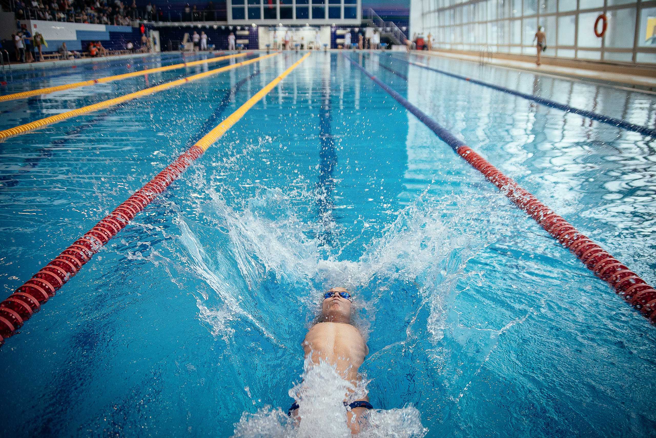 Соревнования по плаванию. Репортажный фотограф в Новосибирске. Алексей Гриценко
