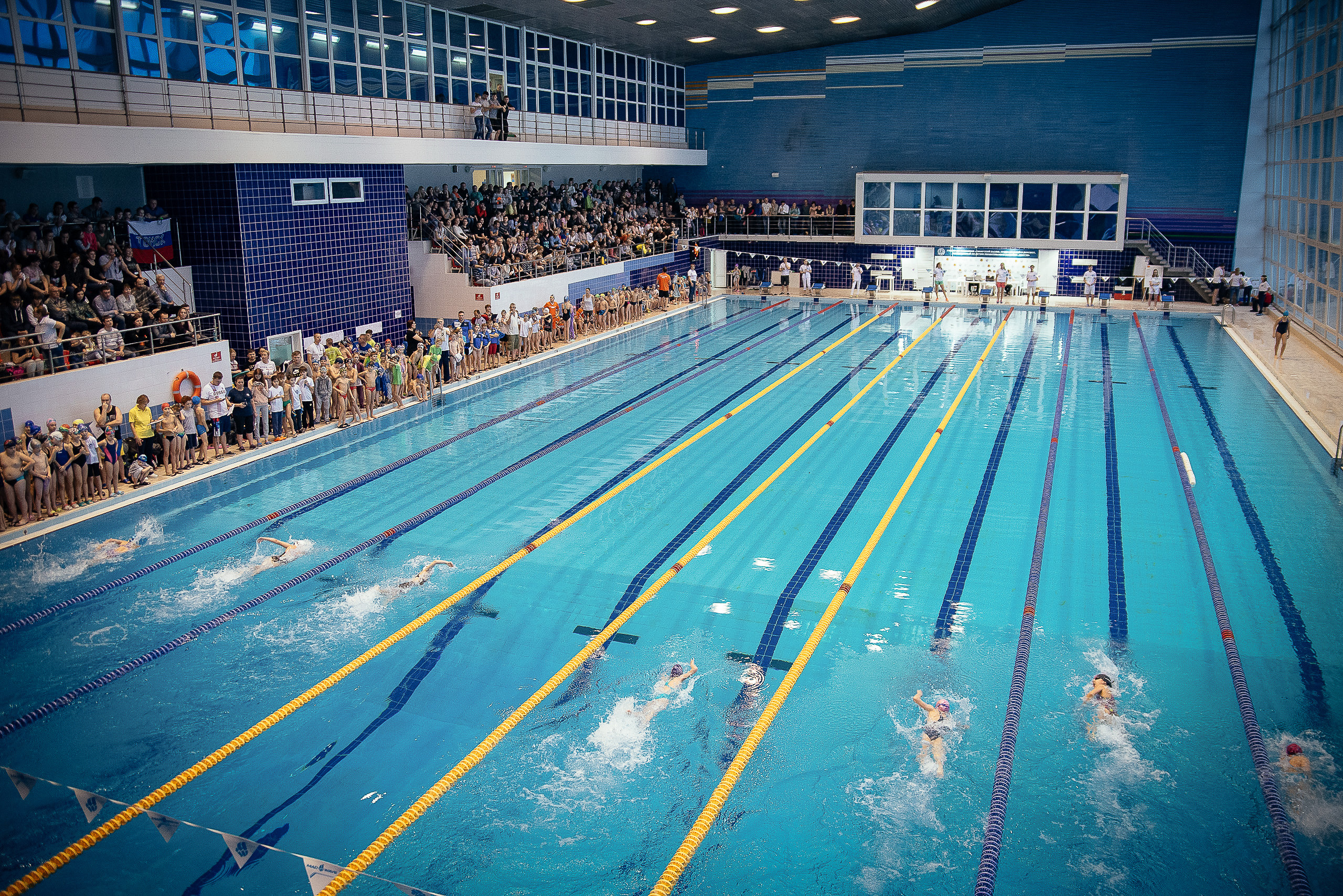 Соревнования по плаванию. Репортажный фотограф в Новосибирске. Алексей Гриценко
