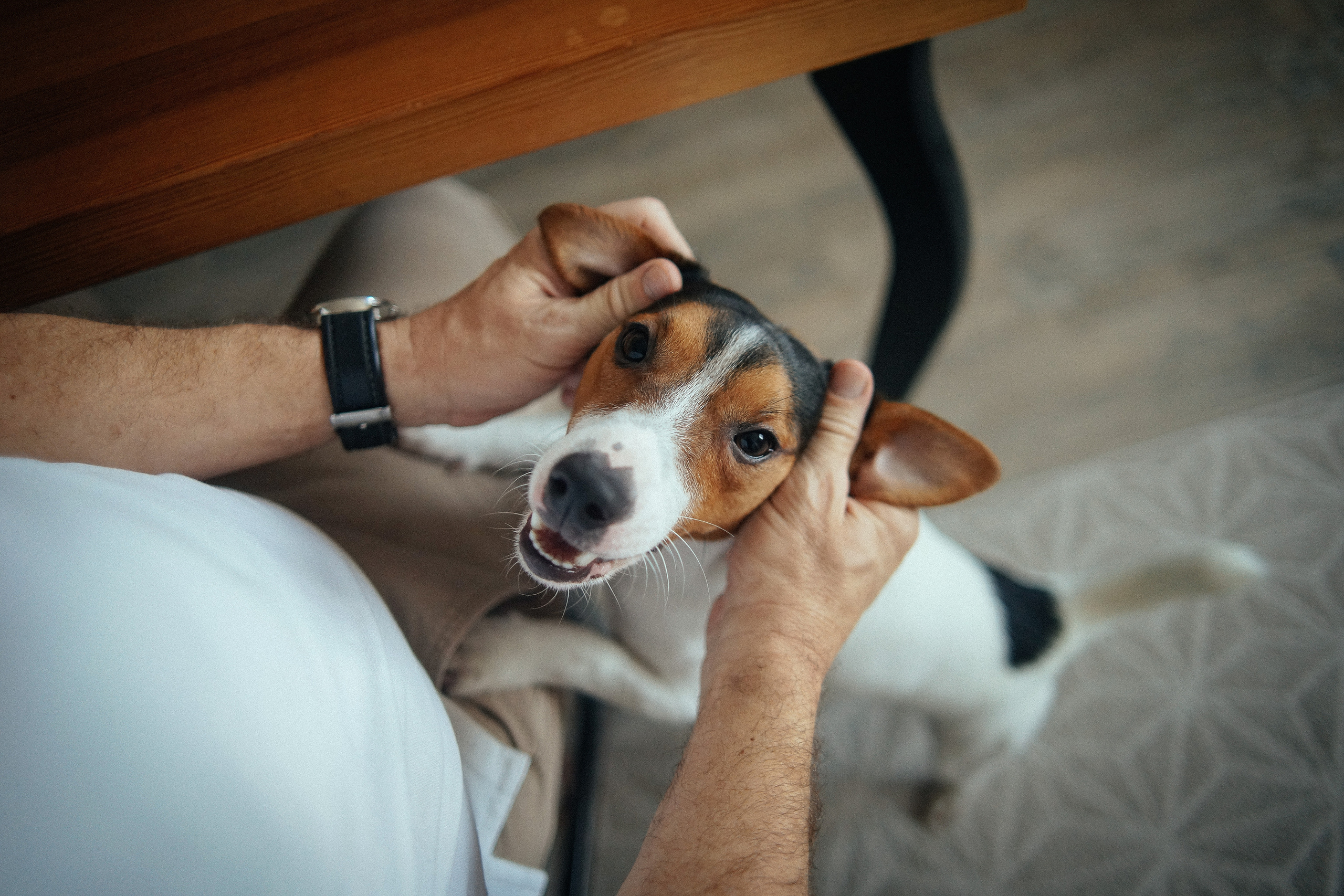 Белавины. Репортажный фотограф в Новосибирске. Алексей Гриценко
