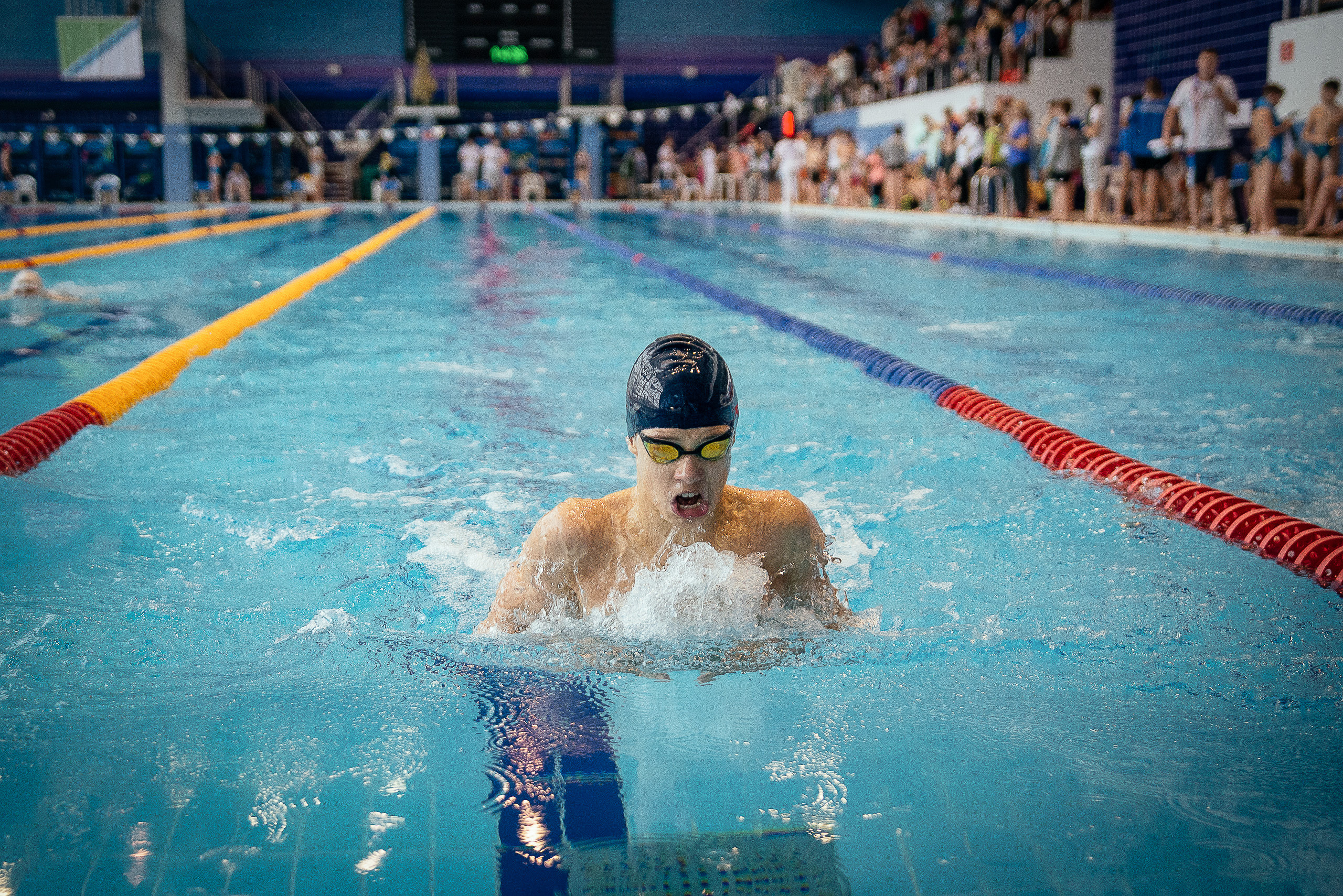 Соревнования по плаванию. Репортажный фотограф в Новосибирске. Алексей Гриценко