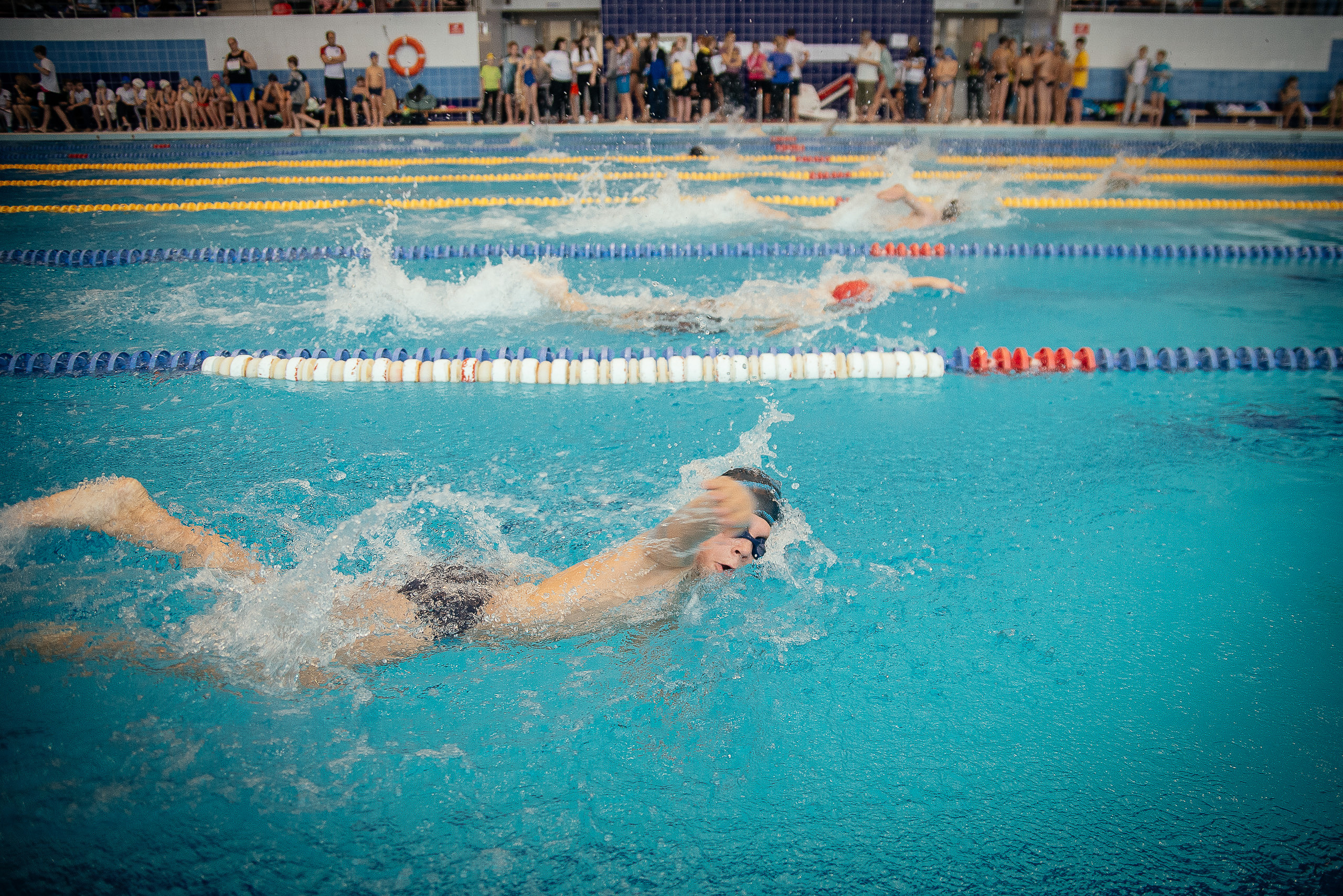Соревнования по плаванию. Репортажный фотограф в Новосибирске. Алексей Гриценко