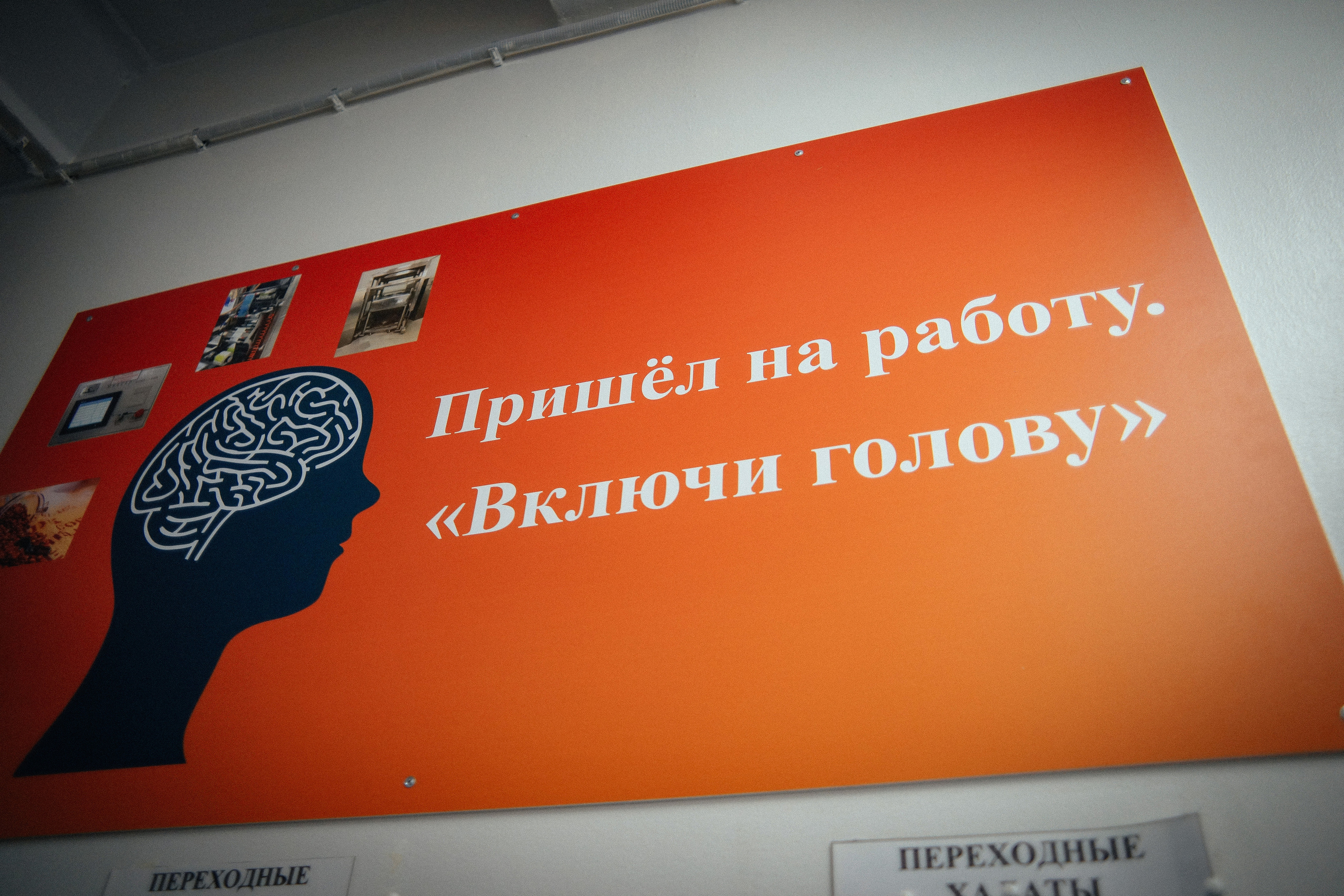 NL Welcome Day. Репортажный фотограф в Новосибирске. Алексей Гриценко