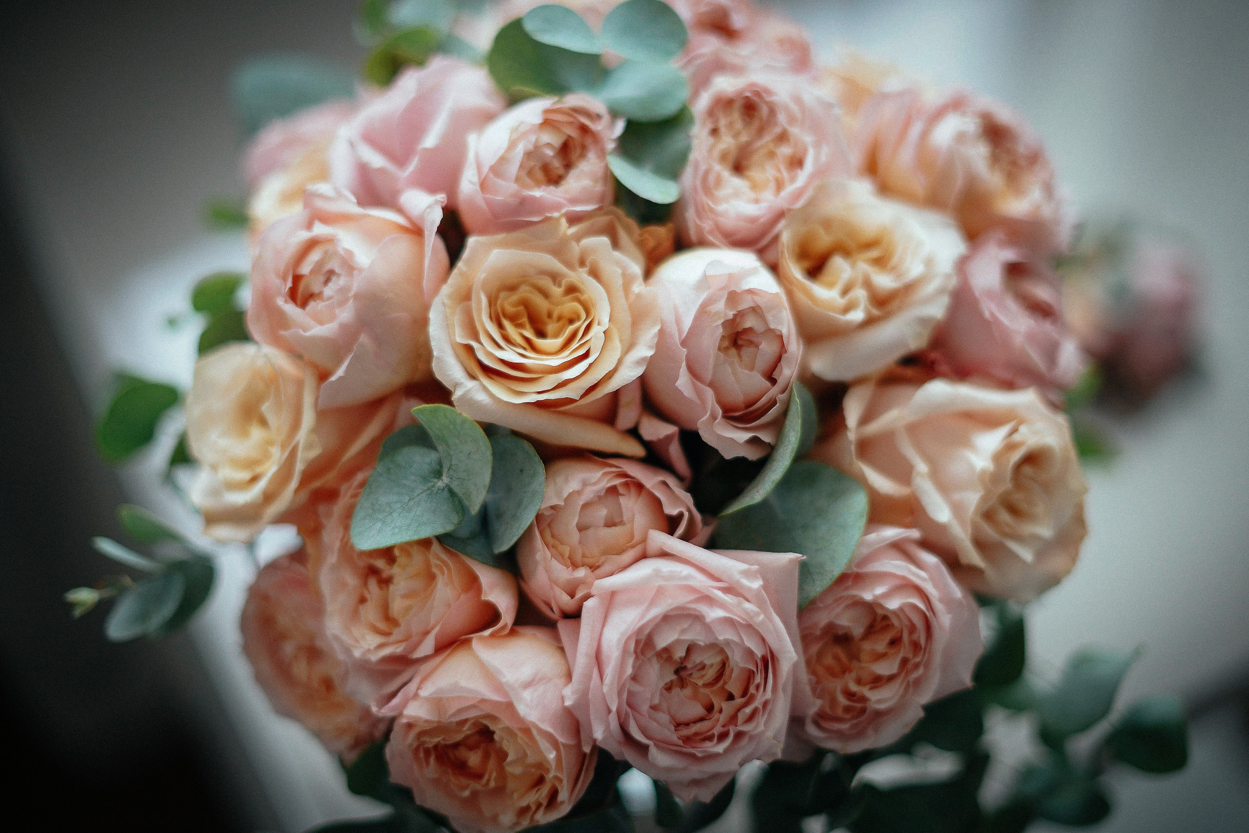 Алёна и Саша. Репортажный фотограф в Новосибирске. Алексей Гриценко