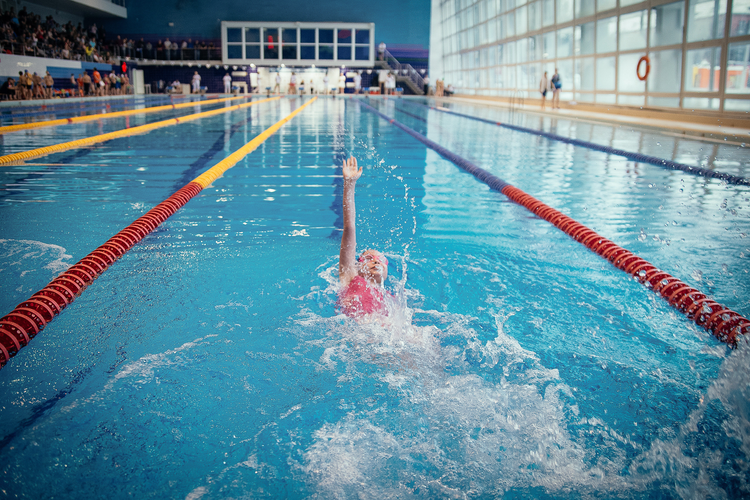 Соревнования по плаванию. Репортажный фотограф в Новосибирске. Алексей Гриценко