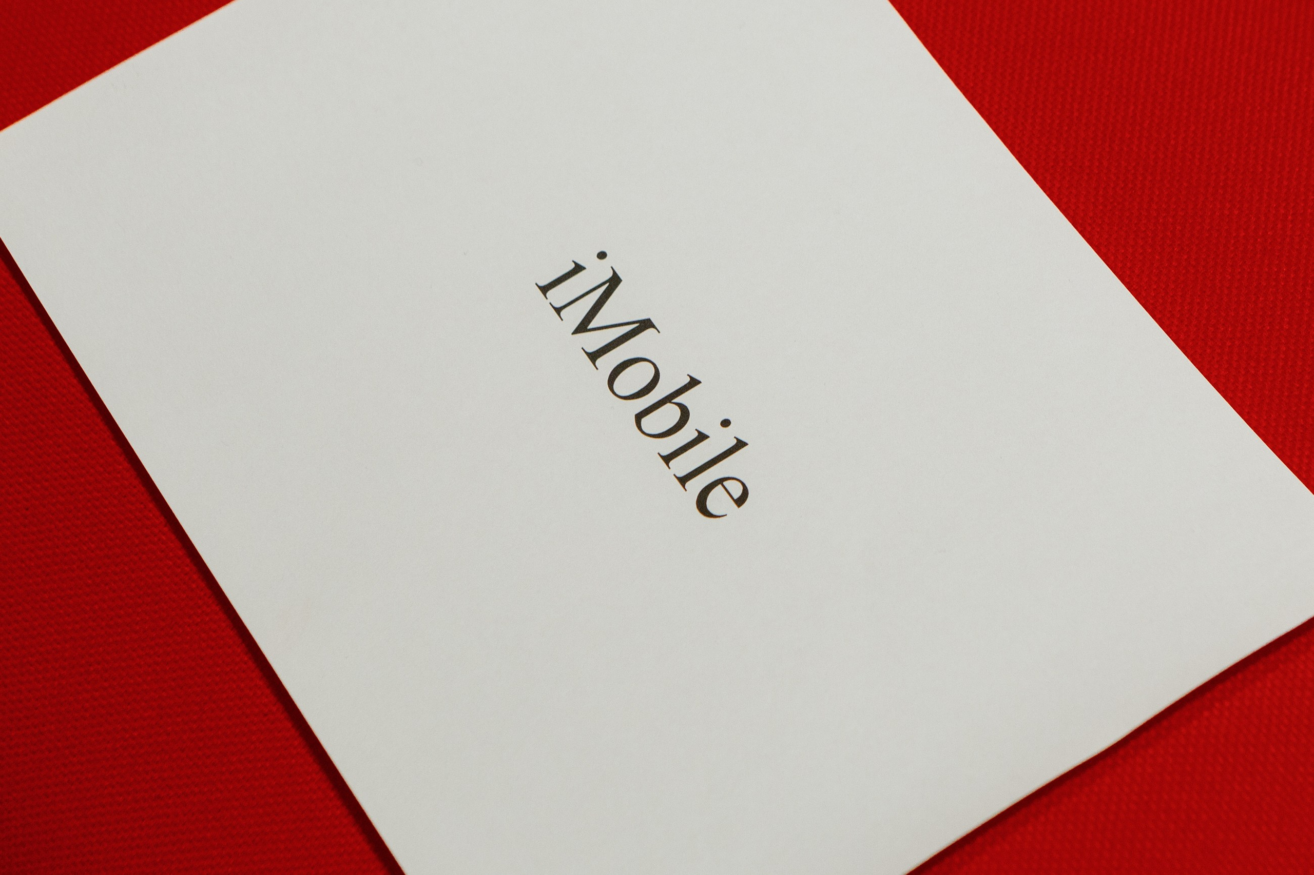 Мой стартап. LEVORIGINAL