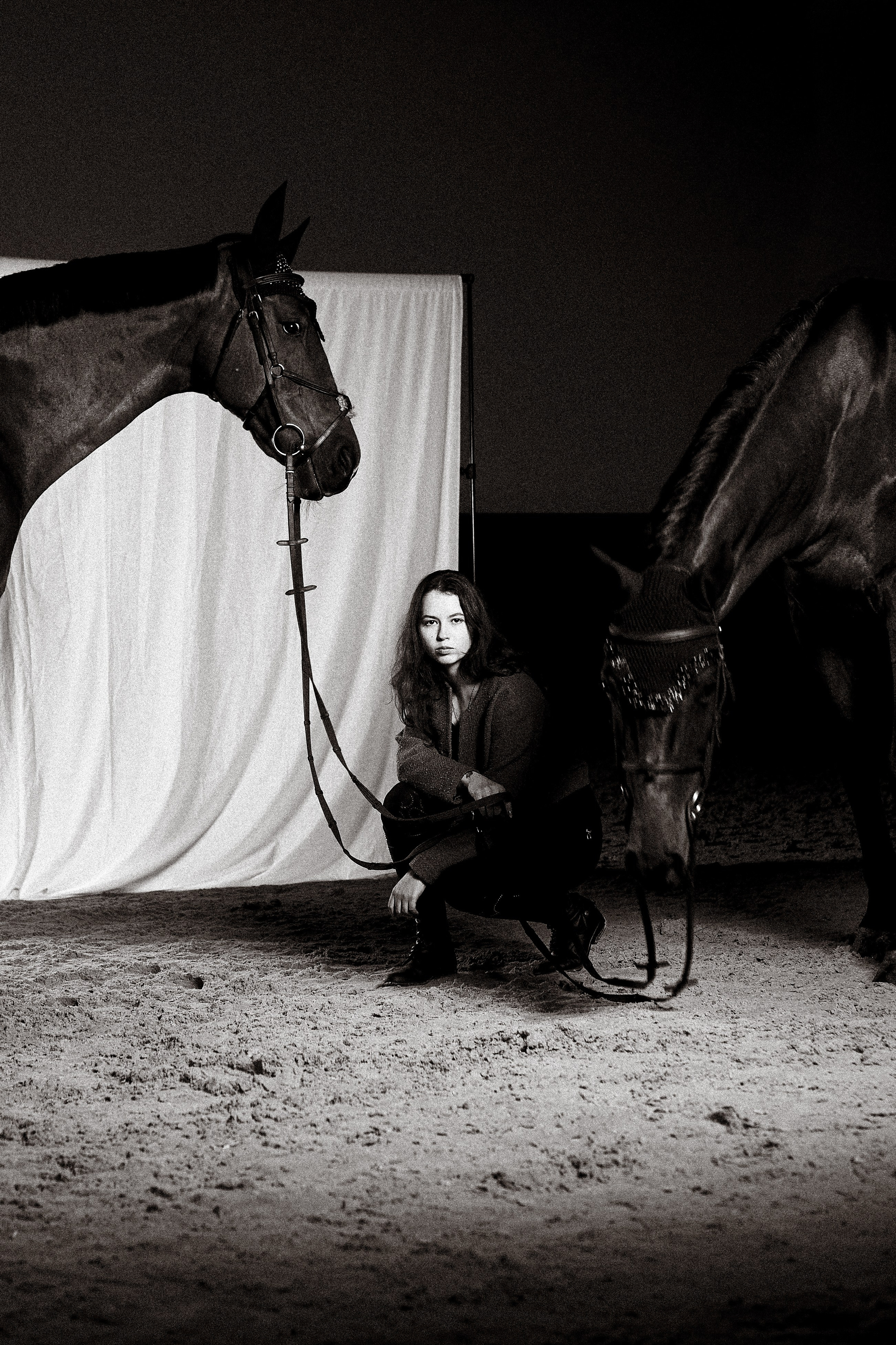Алиса Олейник, Фардон и Кончелла. Эквицентр Северный. Фотосессии с лошадьми в Москве, Новосибирске