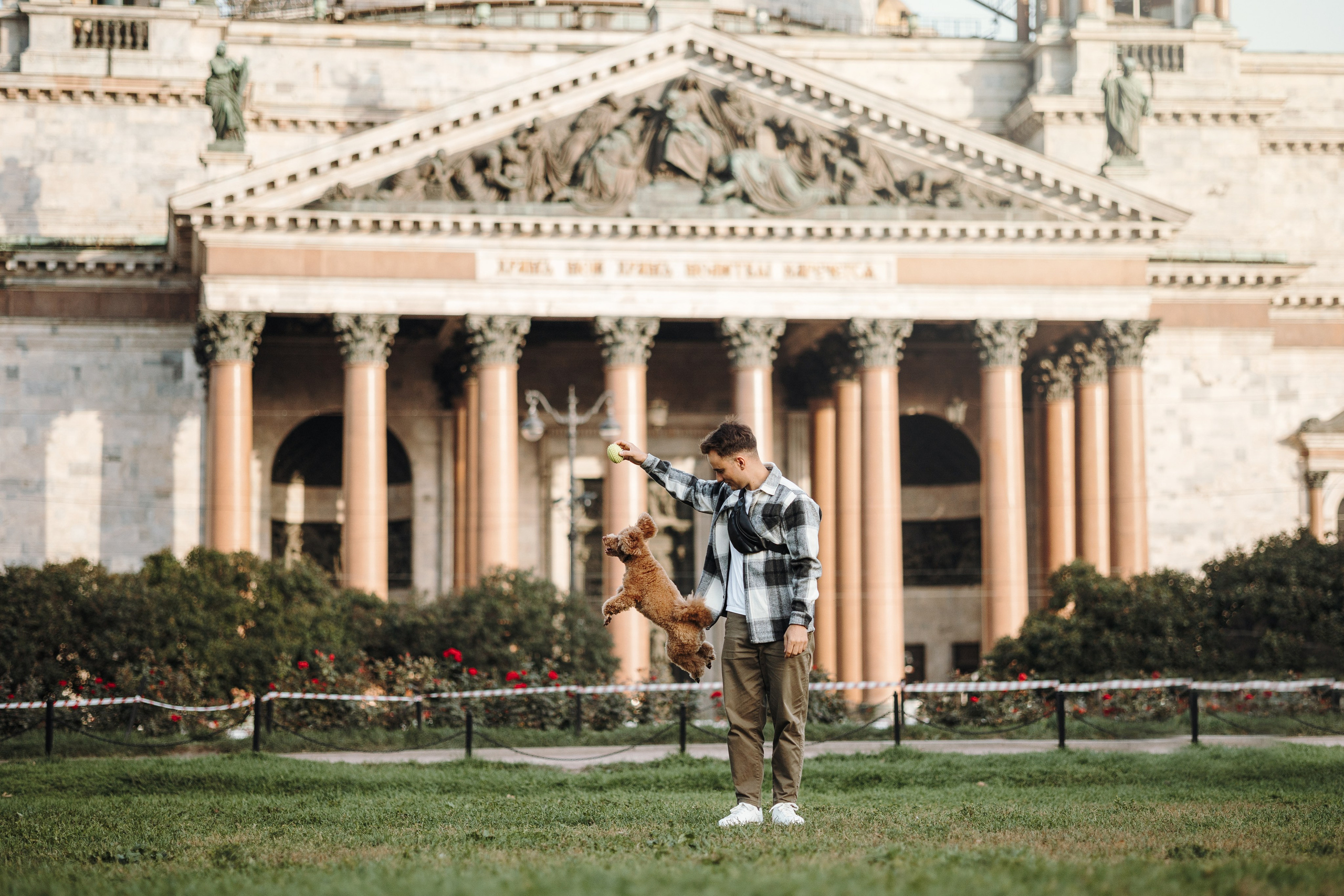 Барни и его семья. Фотограф — Анималист | Санкт-Петербург