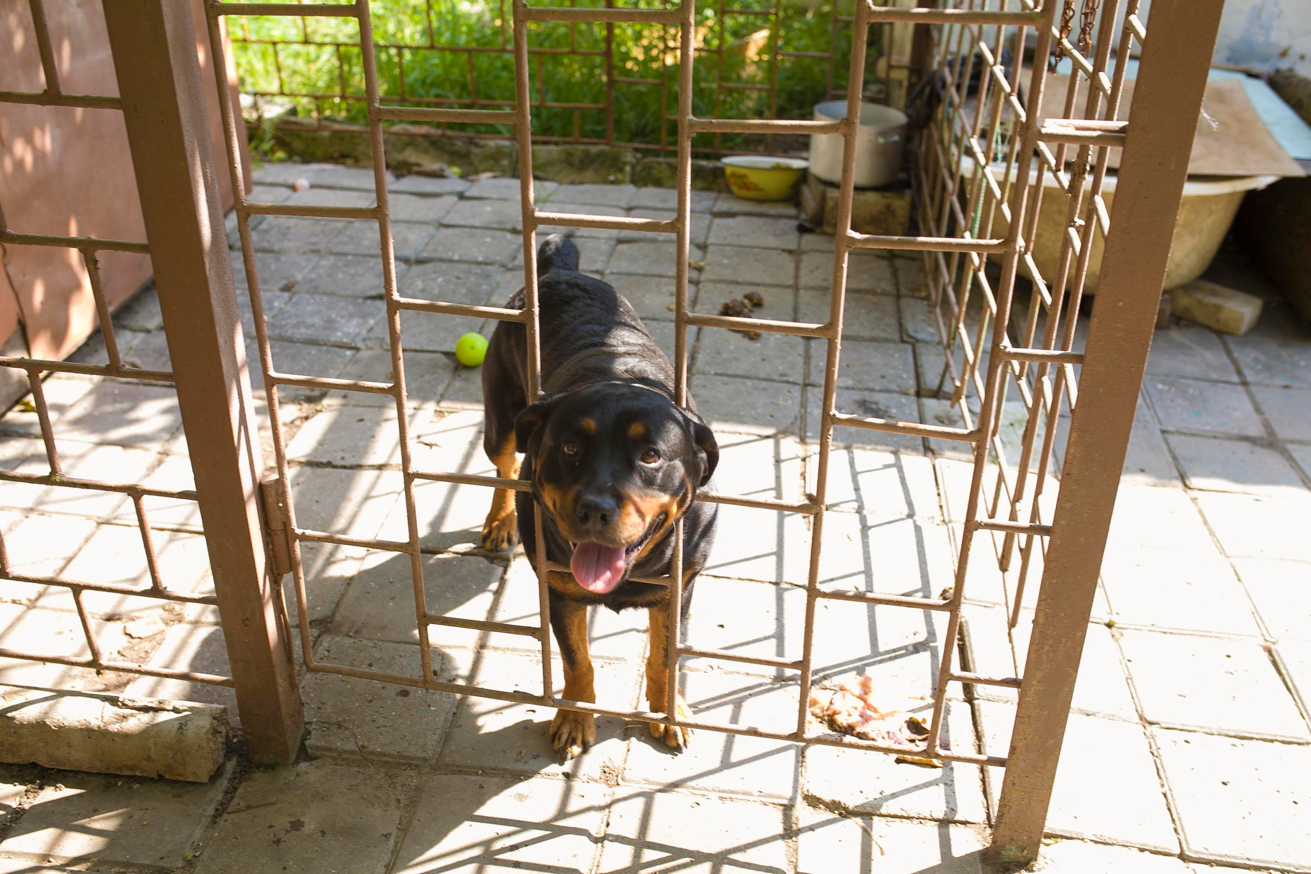 Свадьба 21.08.2021. Дизайн интерьера Керчь, дизайнер интерьера Еремина Мария Керчь, Симфер