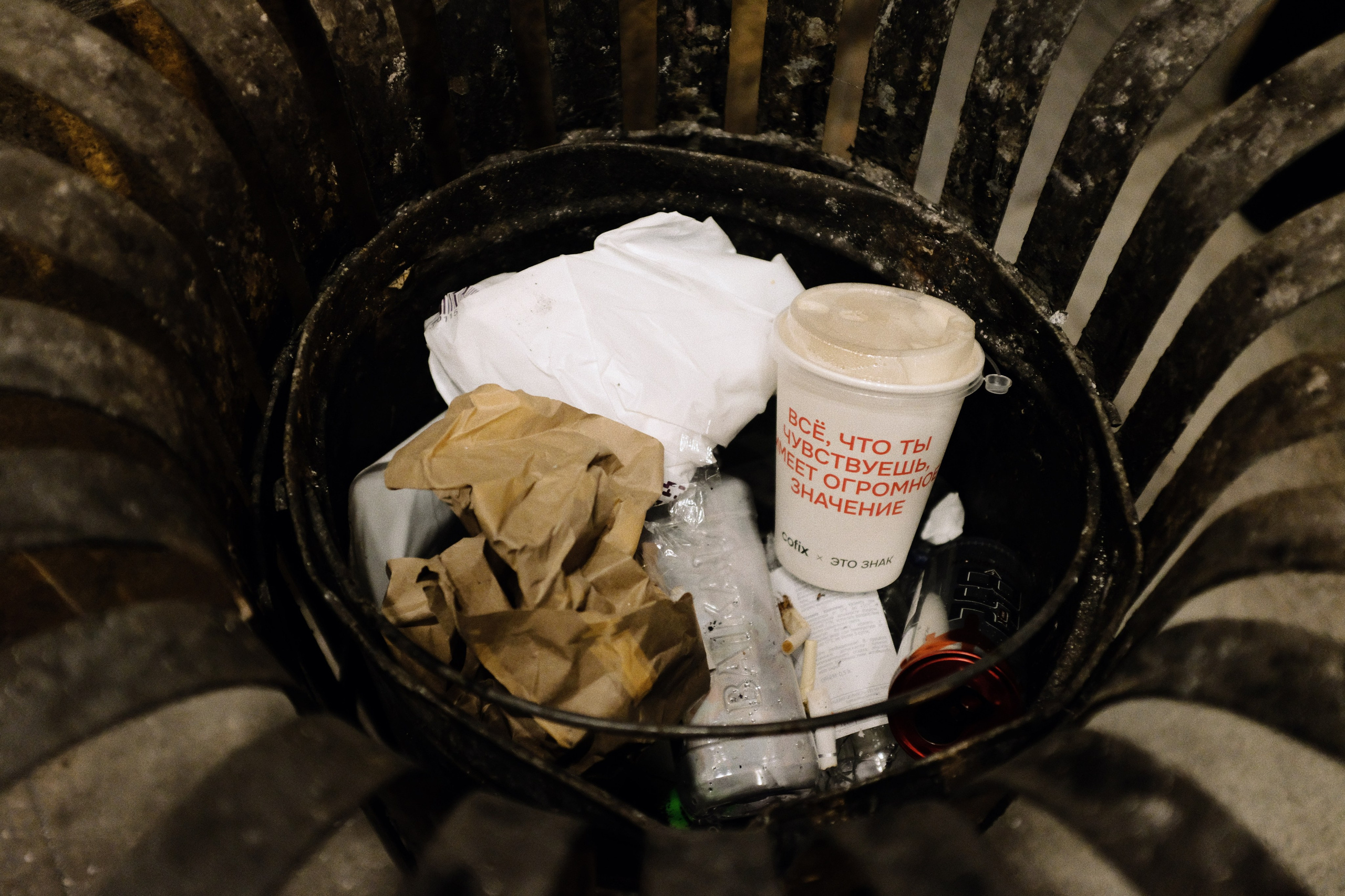 Репортаж. Аня белка — художница и фотограф