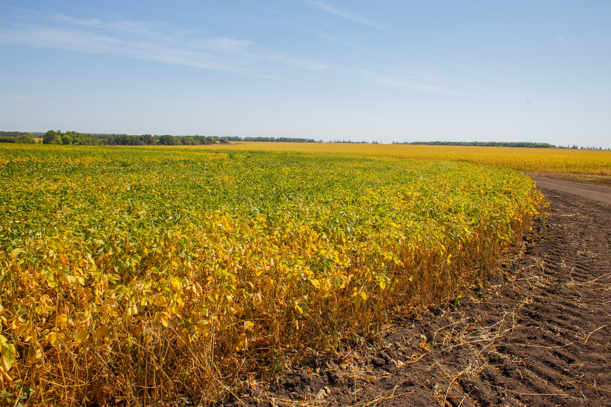 Агротерра. Фотограф Яков Поспехов