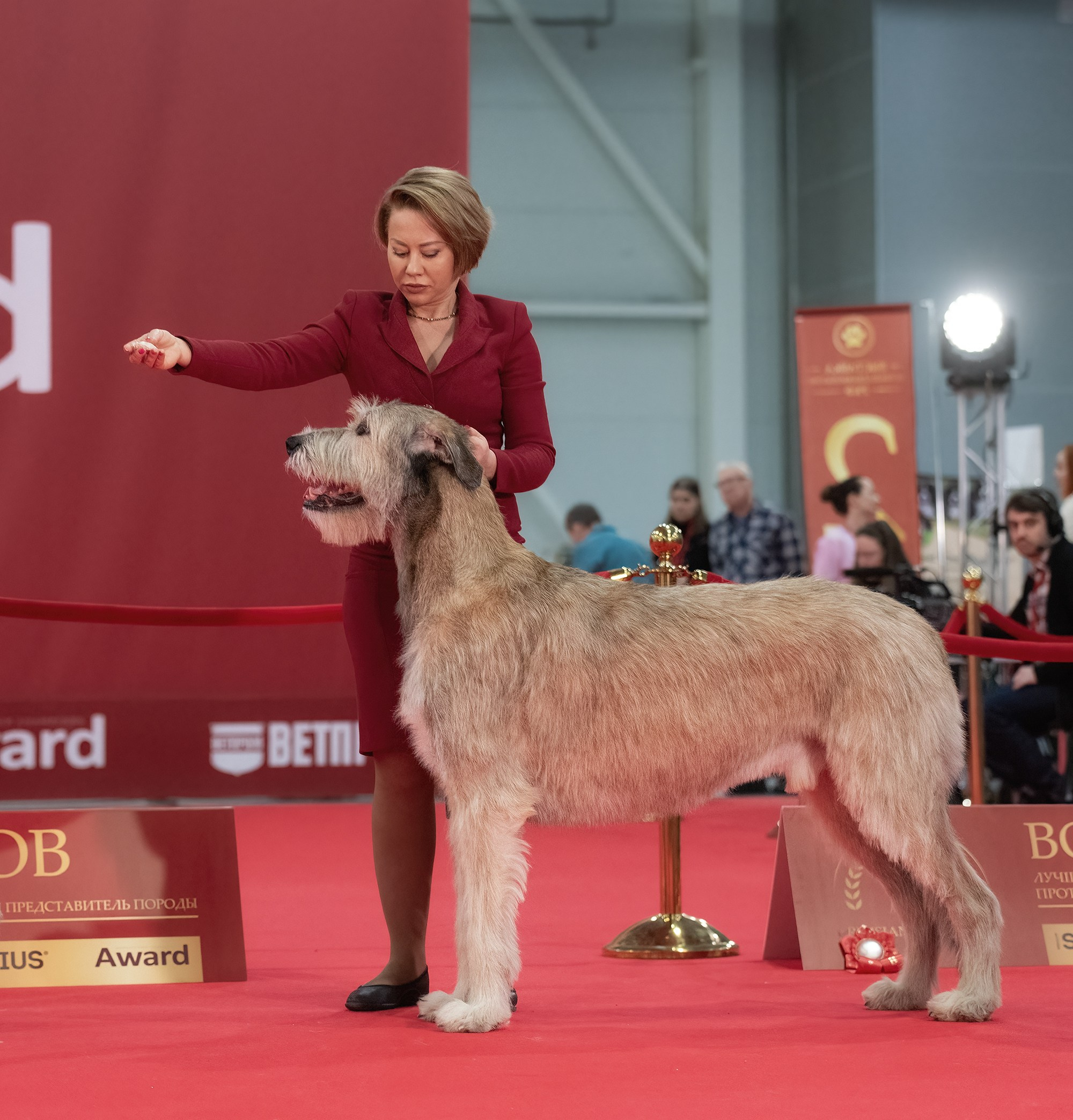 Выставки. Фотограф — анималист Тигунова Мария г. Москва