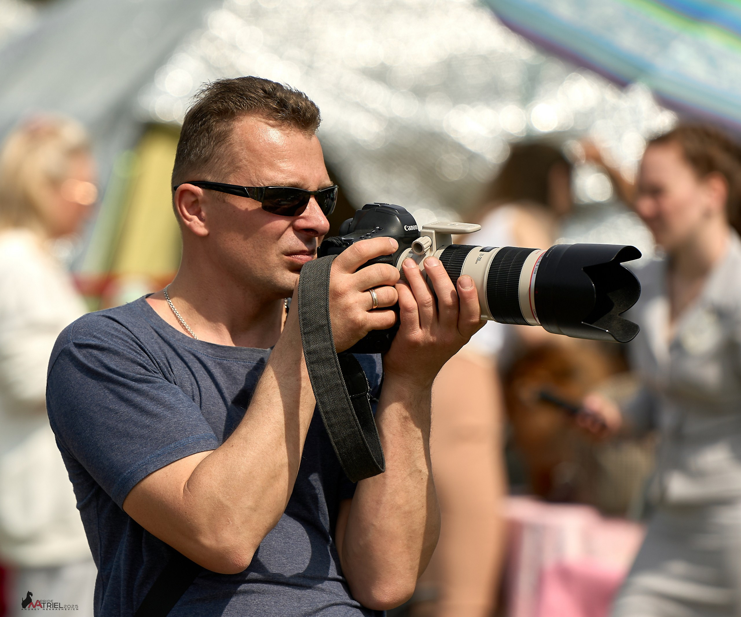 Выставка собак Суздаль-Владимир