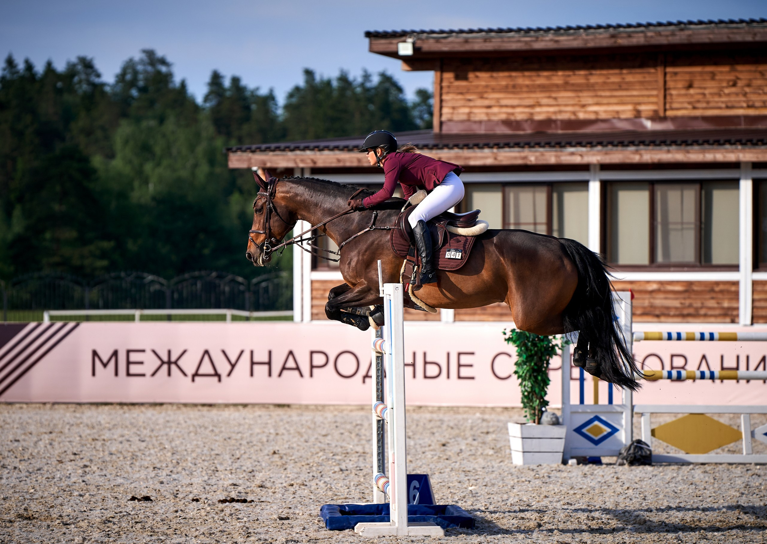 Соревнования на лошадях — галерея NATRIEL