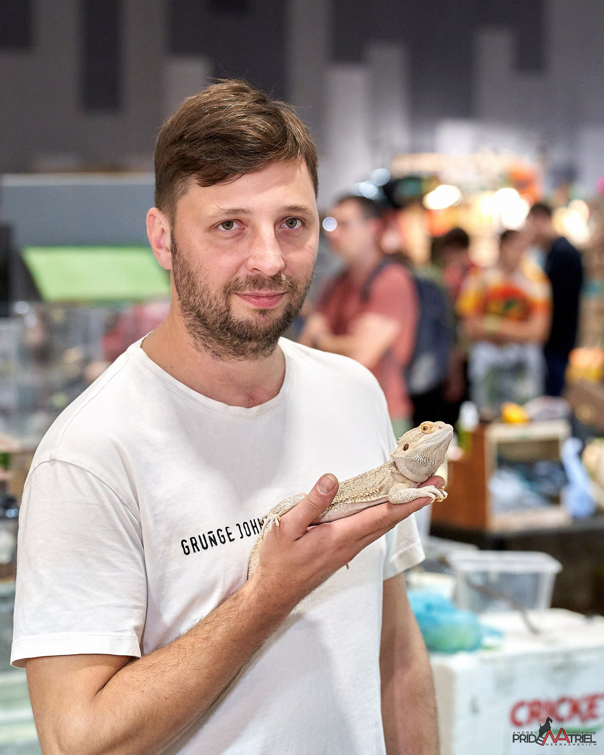 Выставки животных — галерея NATRIEL