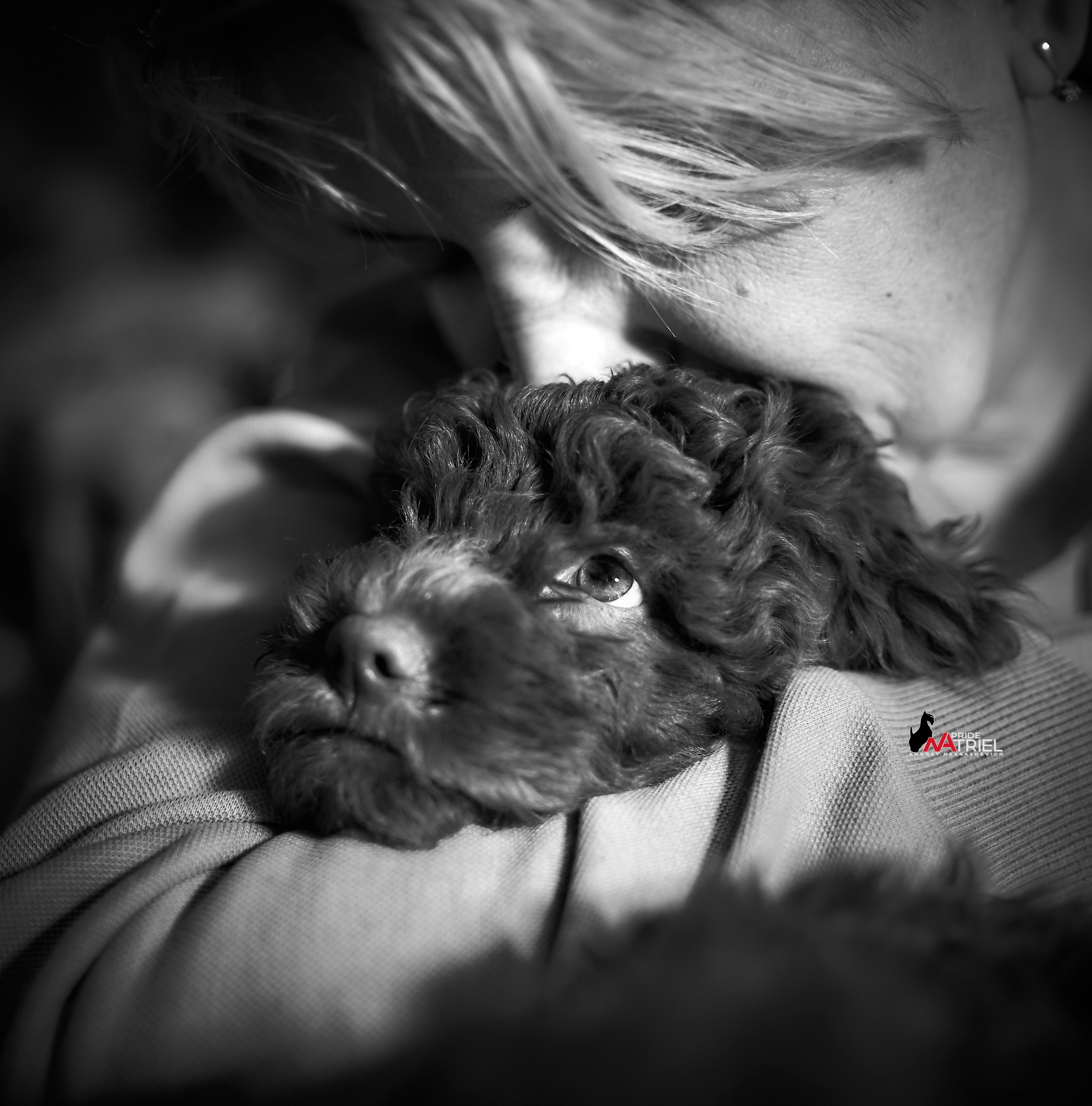 Щенки с людьми — галерея NATRIEL