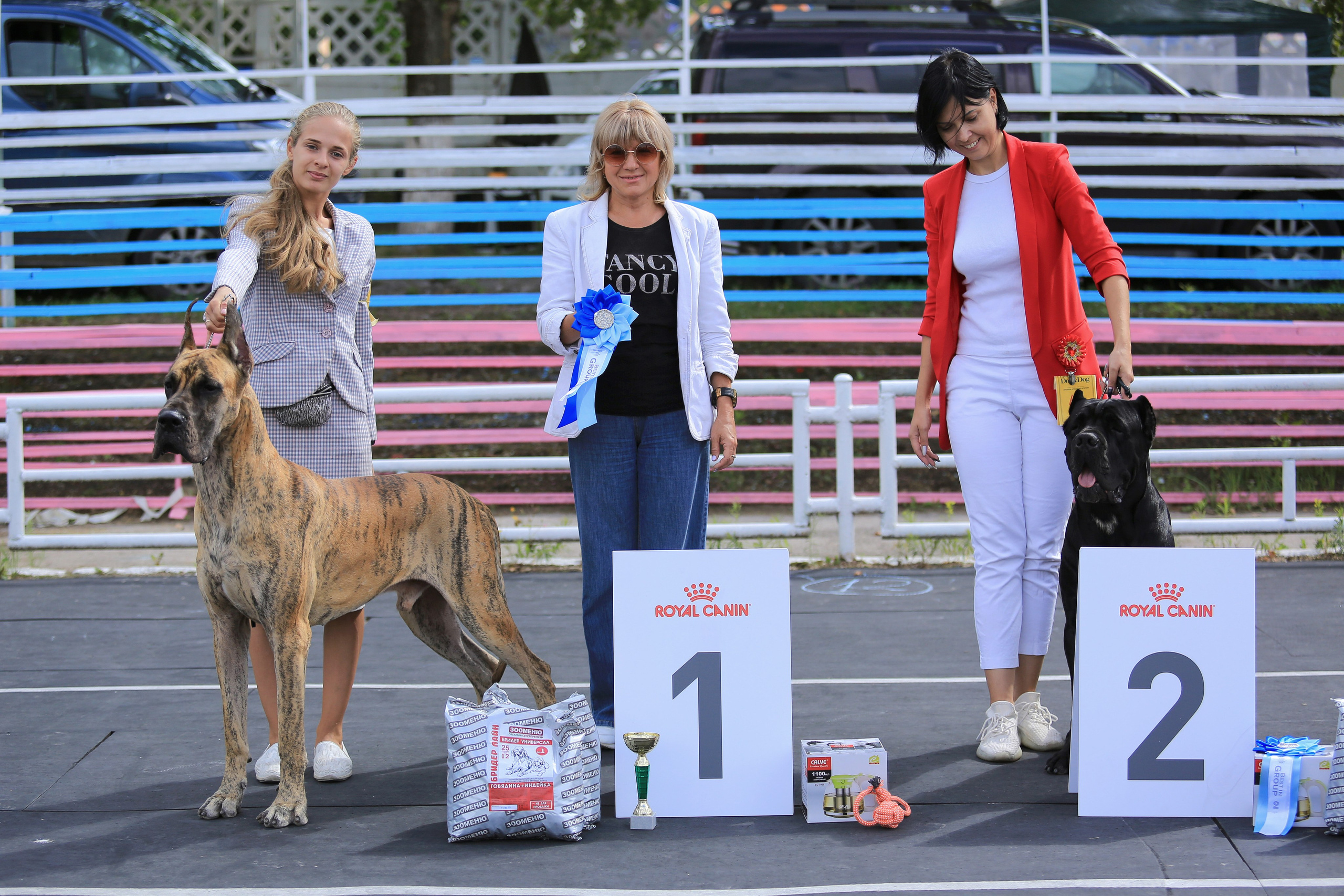 Окунулась вновь в атмосферу выставки…. Школьный фотограф в Туле Светлана Привезенцева