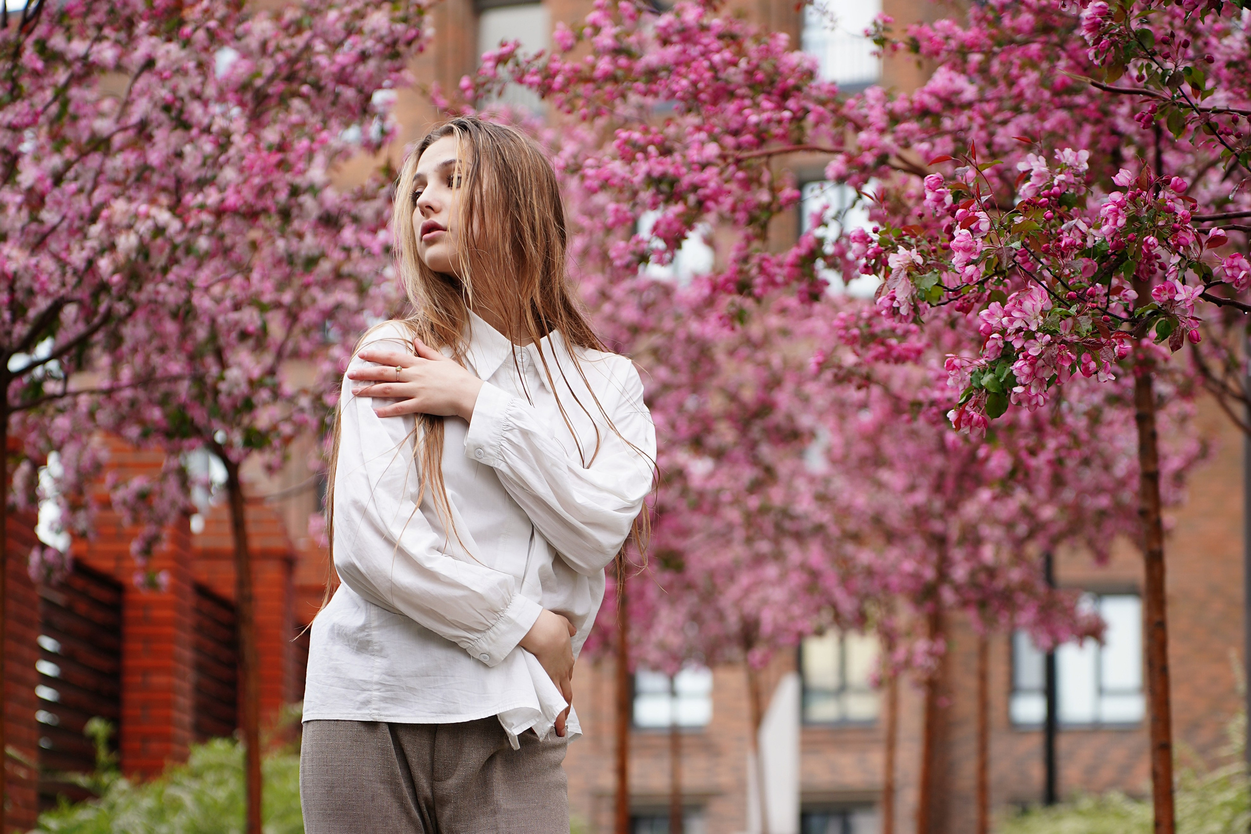 Оля Башкирская Сакура. Pupov.png