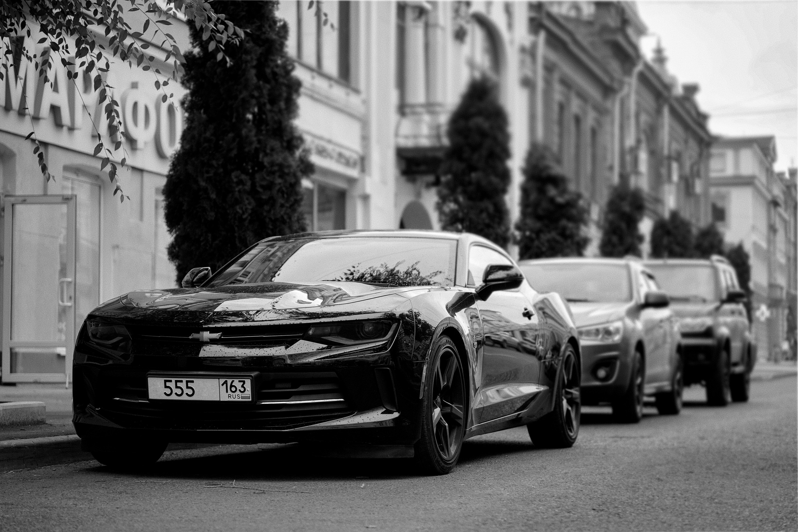 Авто-фотография. Pupov.png