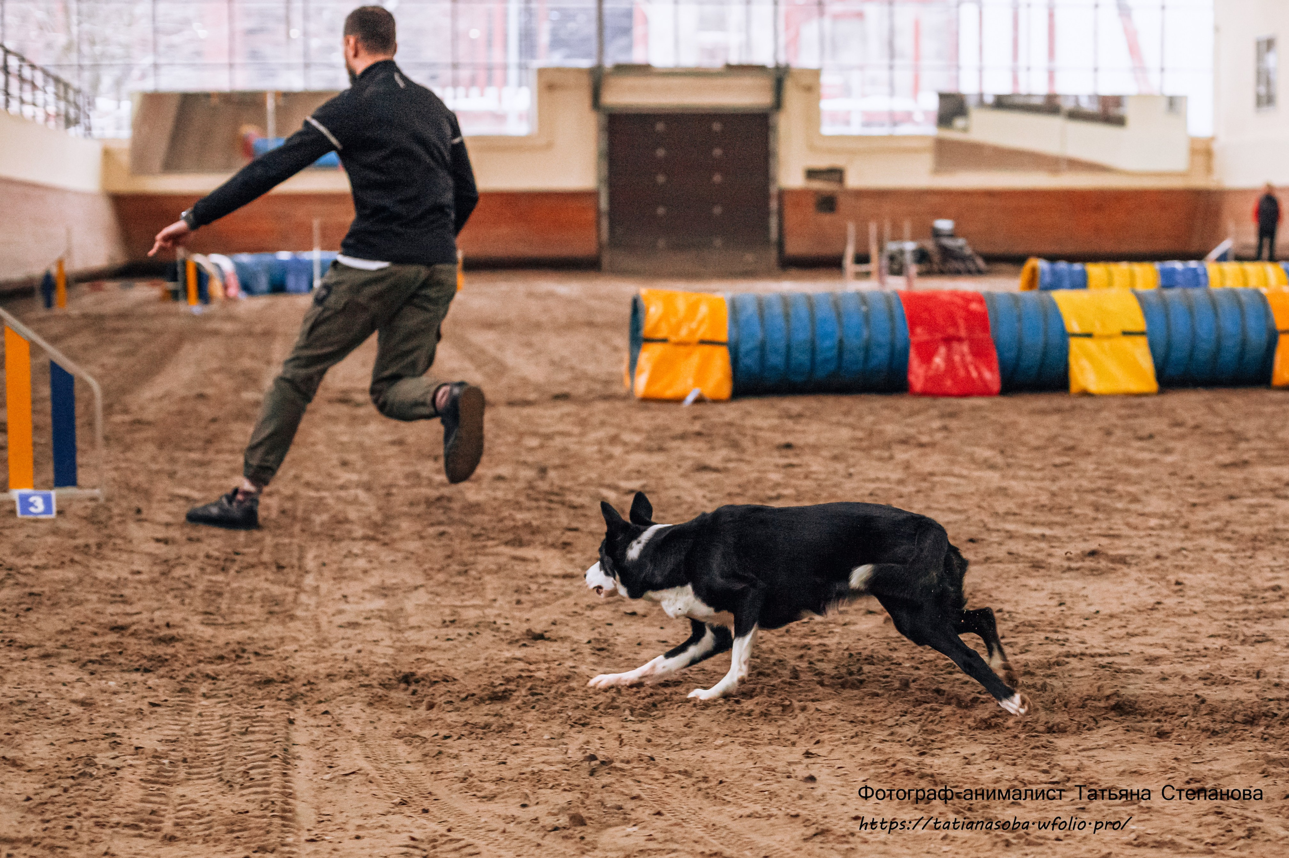 Соревнования по Аджилити 25.02.2024. Фотограф-анималист Татьяна Степанова