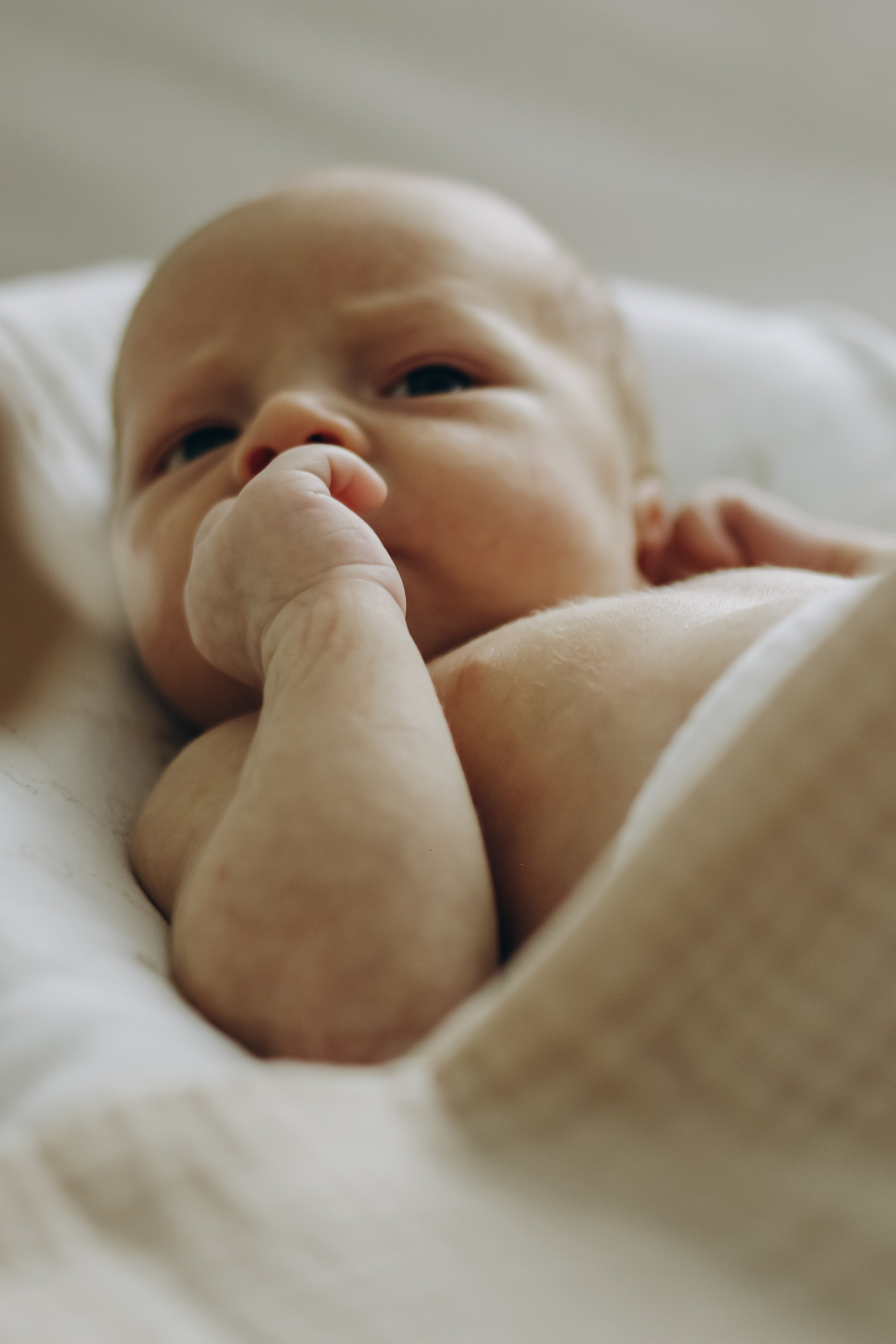 Домашняя 23.08.2025. Свой фотограф Нижний Новгород