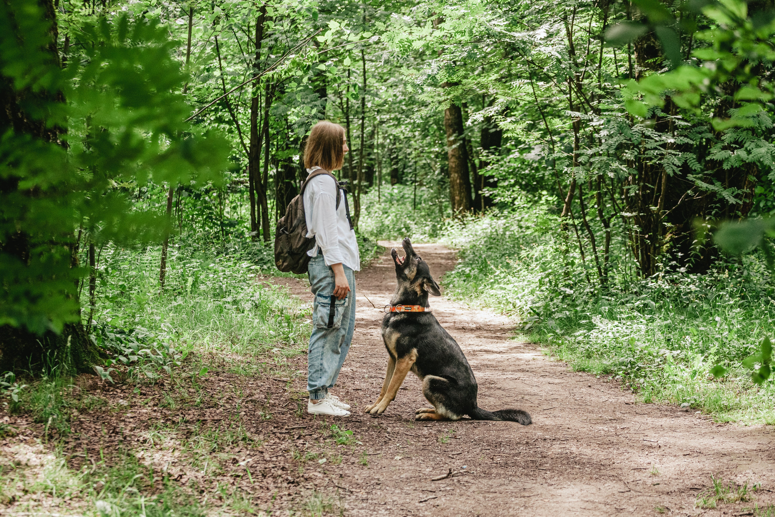Лесная летняя фотопрогулка. Фотограф-анималист Татьяна Степанова