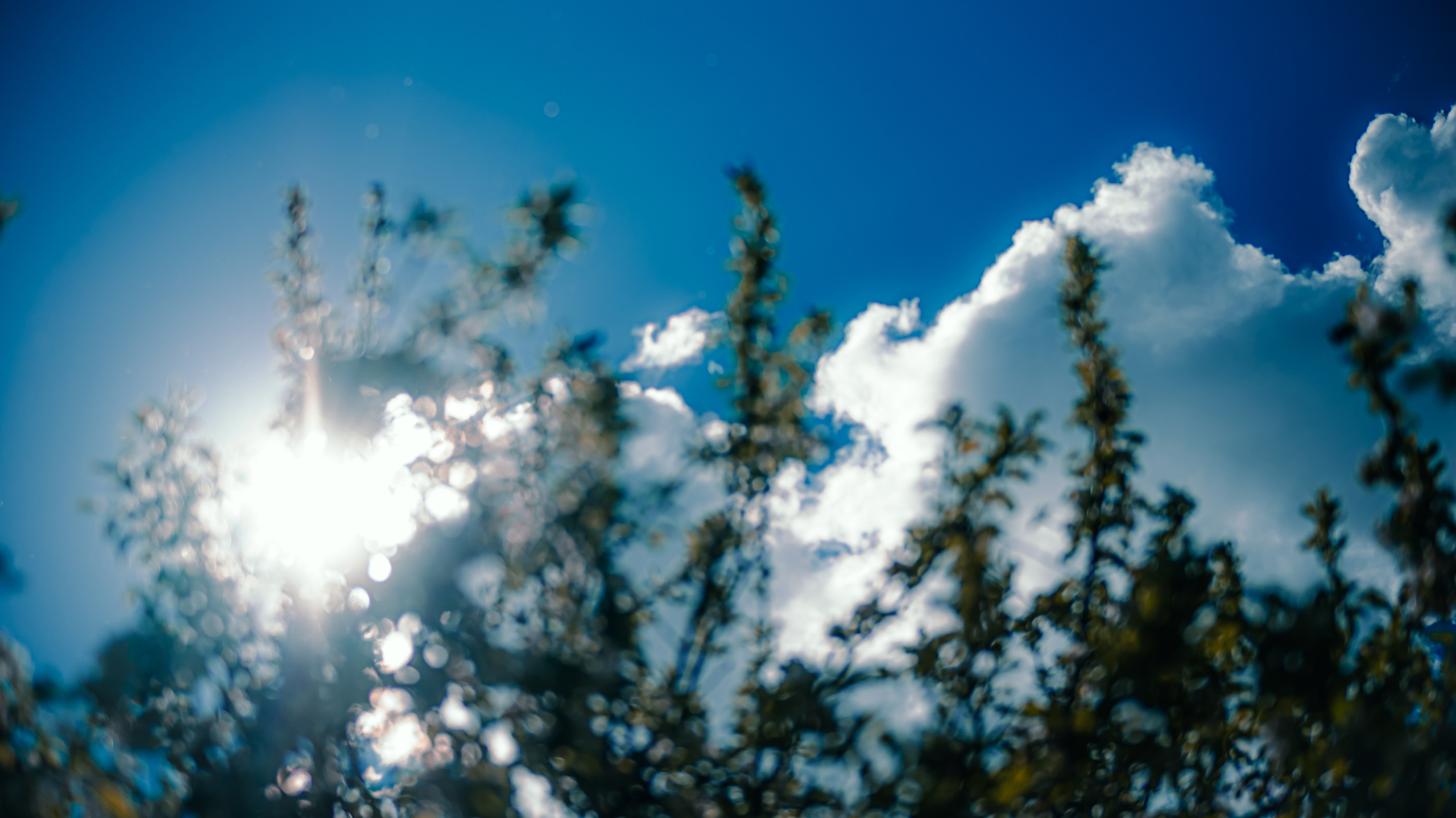 Wallpapers. Фотограф Казань