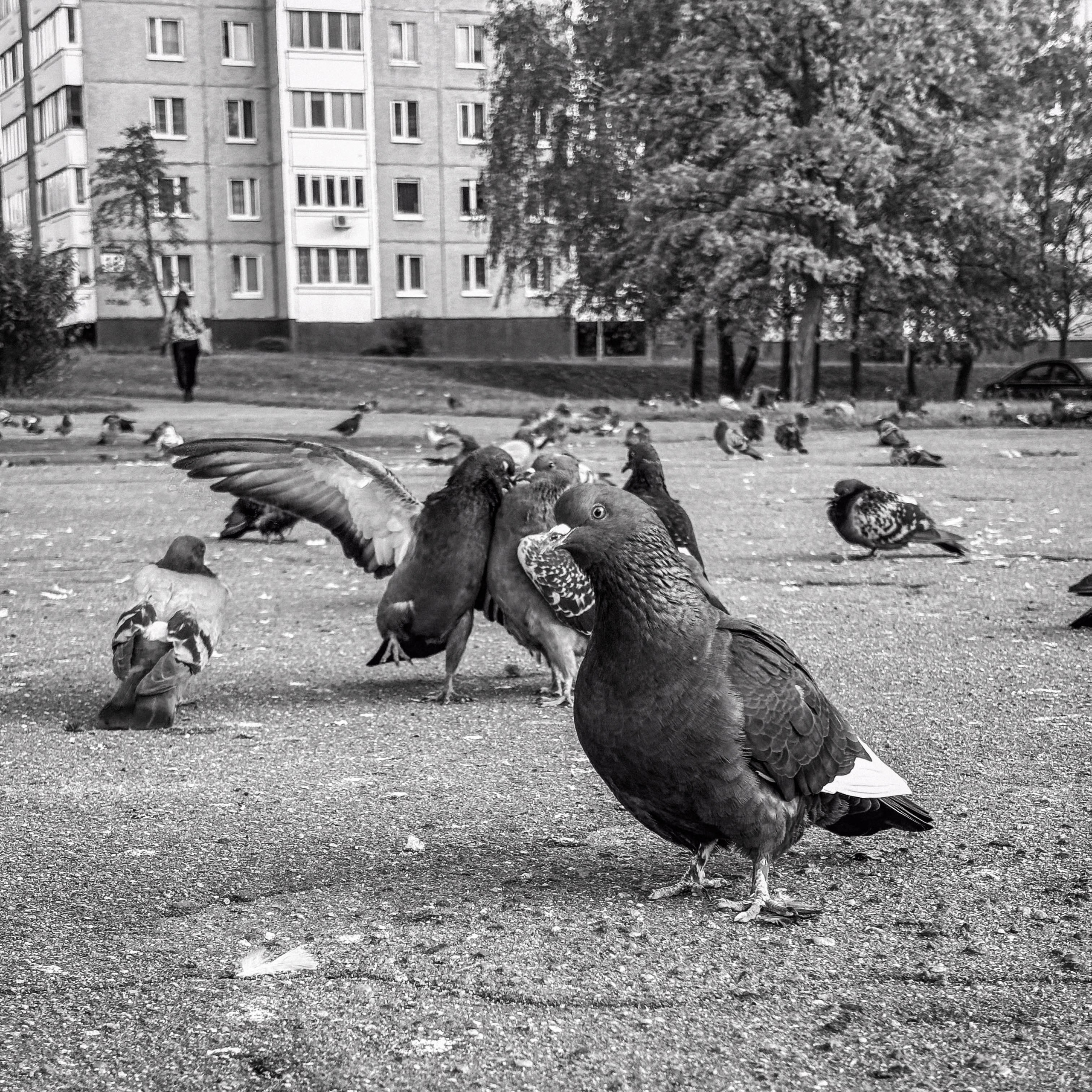 Минск. Фотограф Антон Швец — Монохромная реальность