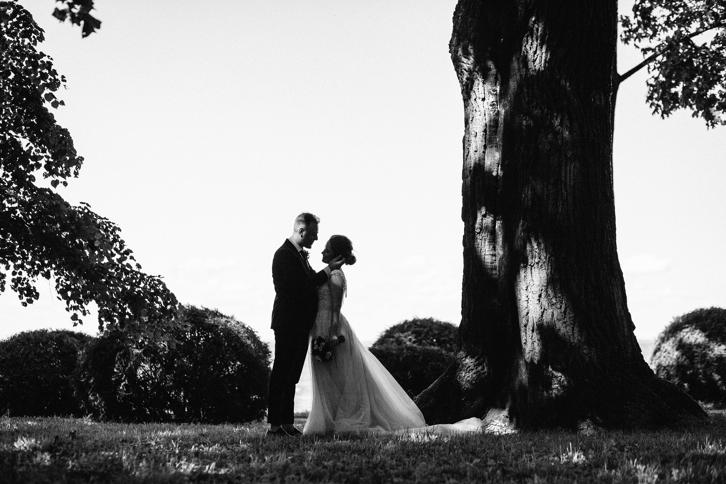 Сергей и Алина. Семейный и свадебный фотограф в Майкопе Михаил Мартиросян