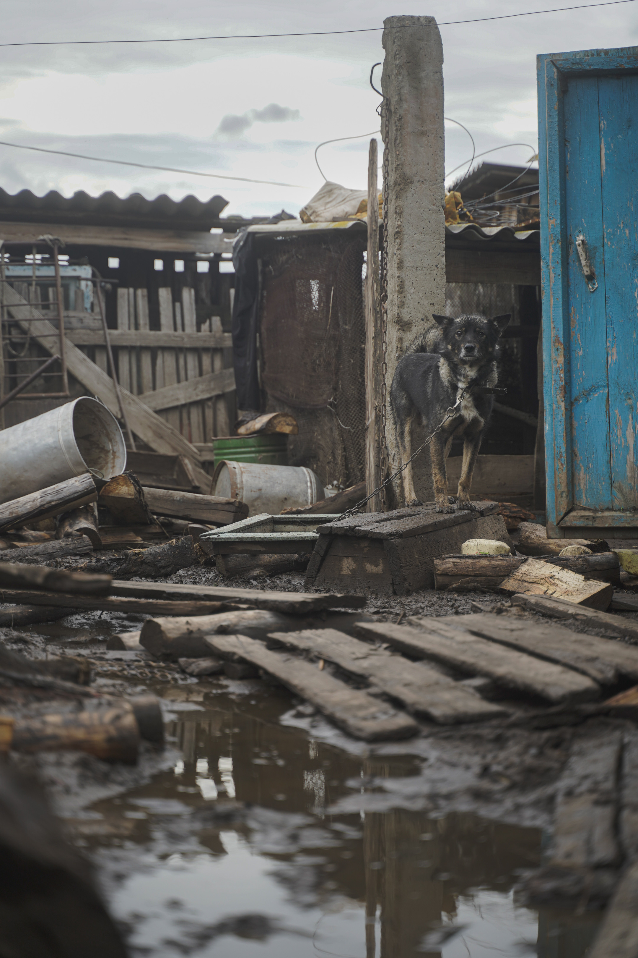 Добровольческий отряд после наводнения в селе Ундино-Поселье, 2021. Андрей Фадеев фото видео Тбилиси