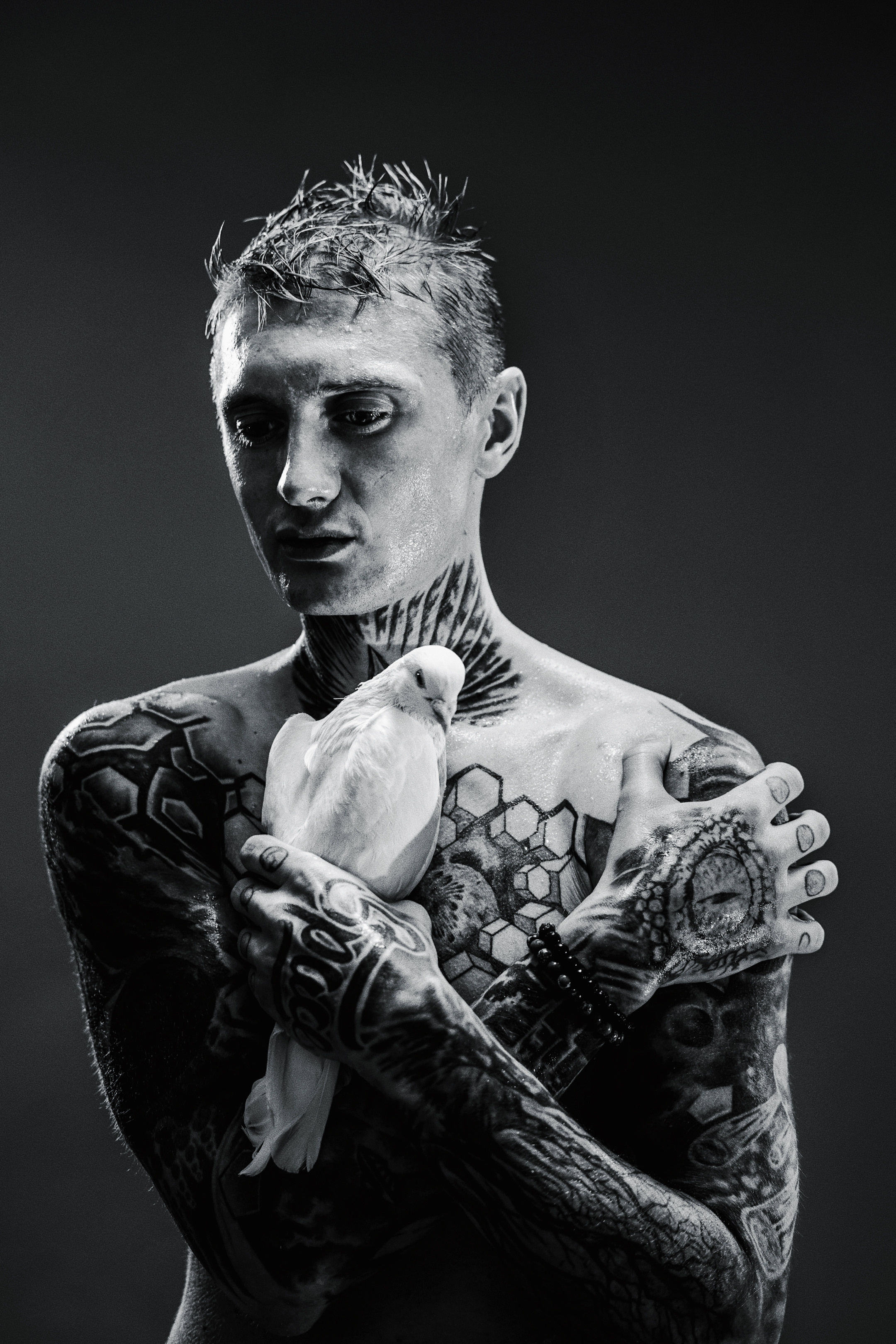 Портреты. Андрей Фадеев фото видео Тбилиси