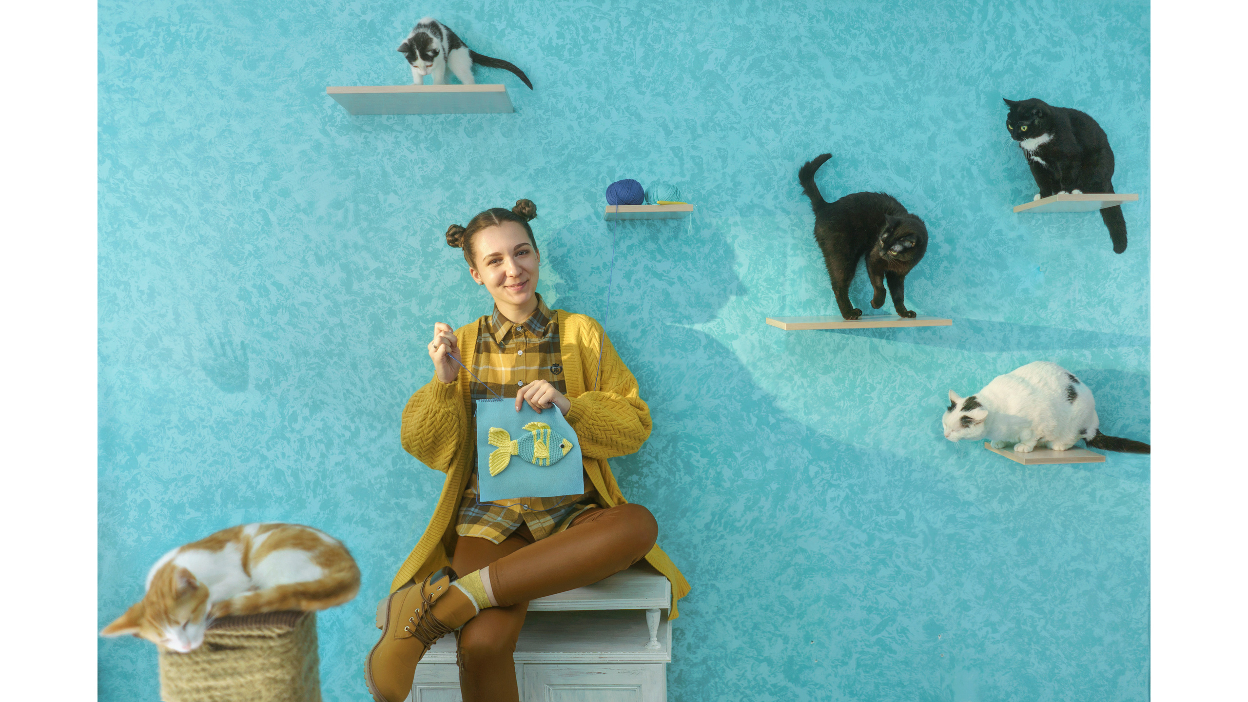 Андрей Фадеев фото видео Тбилиси