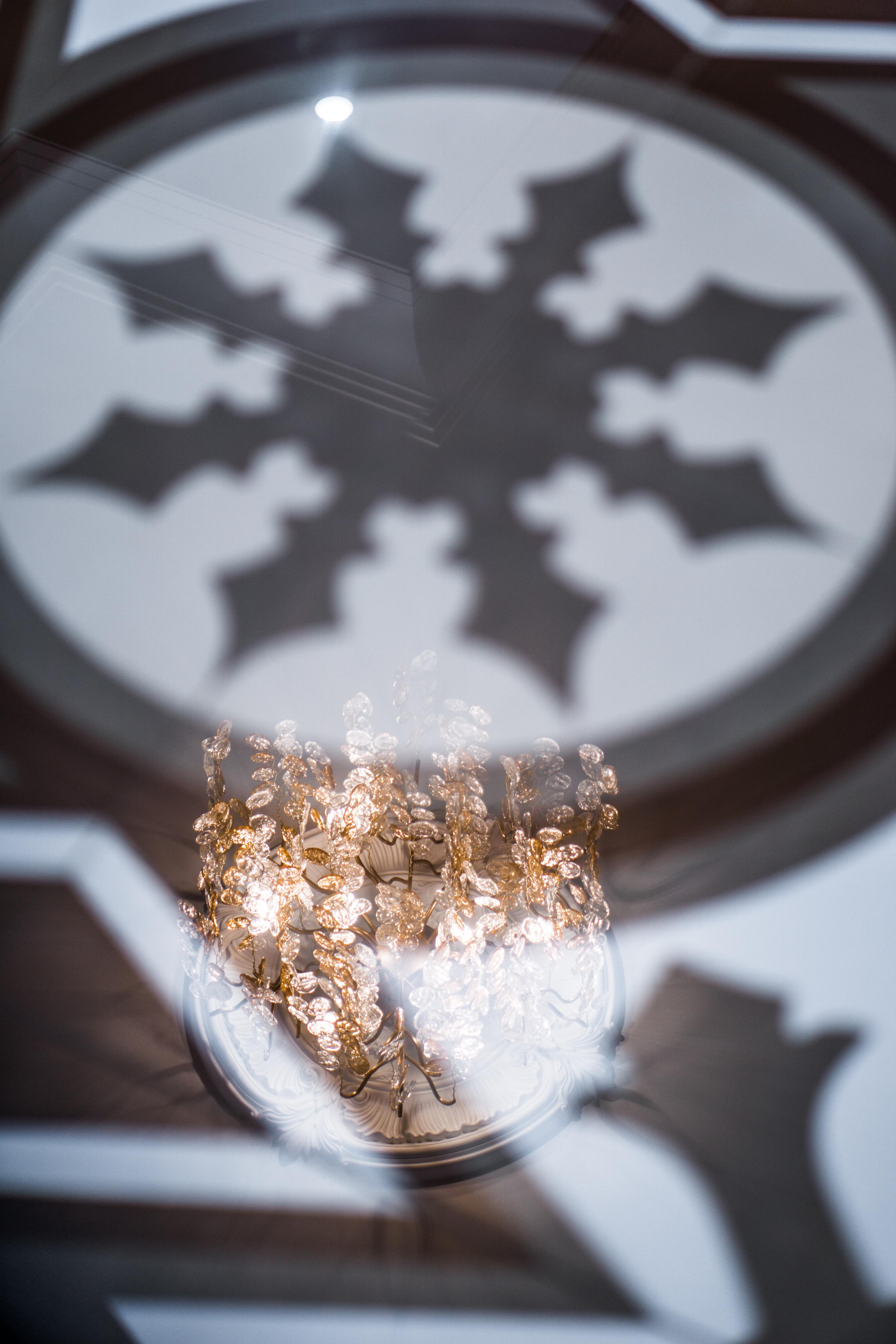 Light. Фотограф