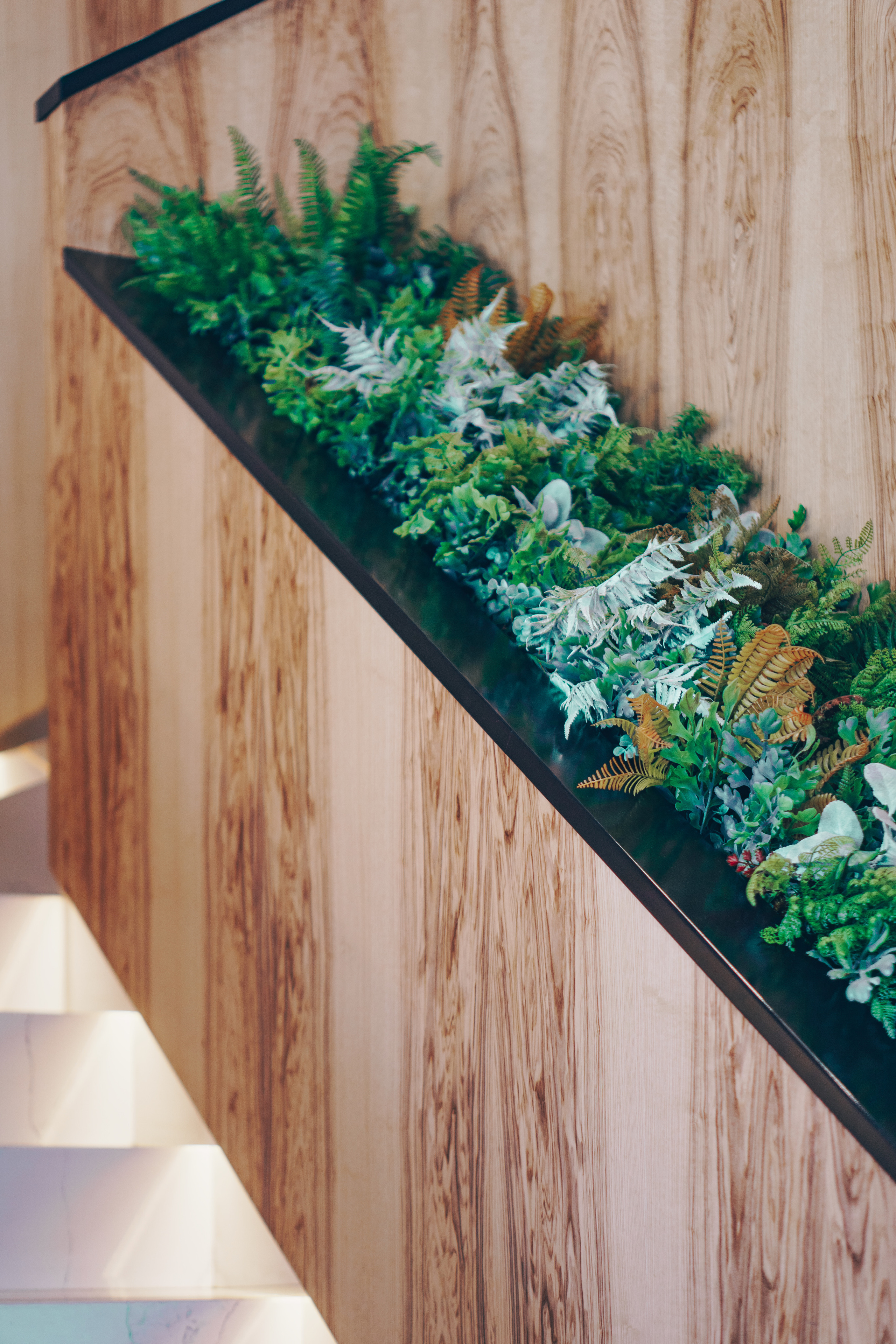 Эклерная. Фотограф