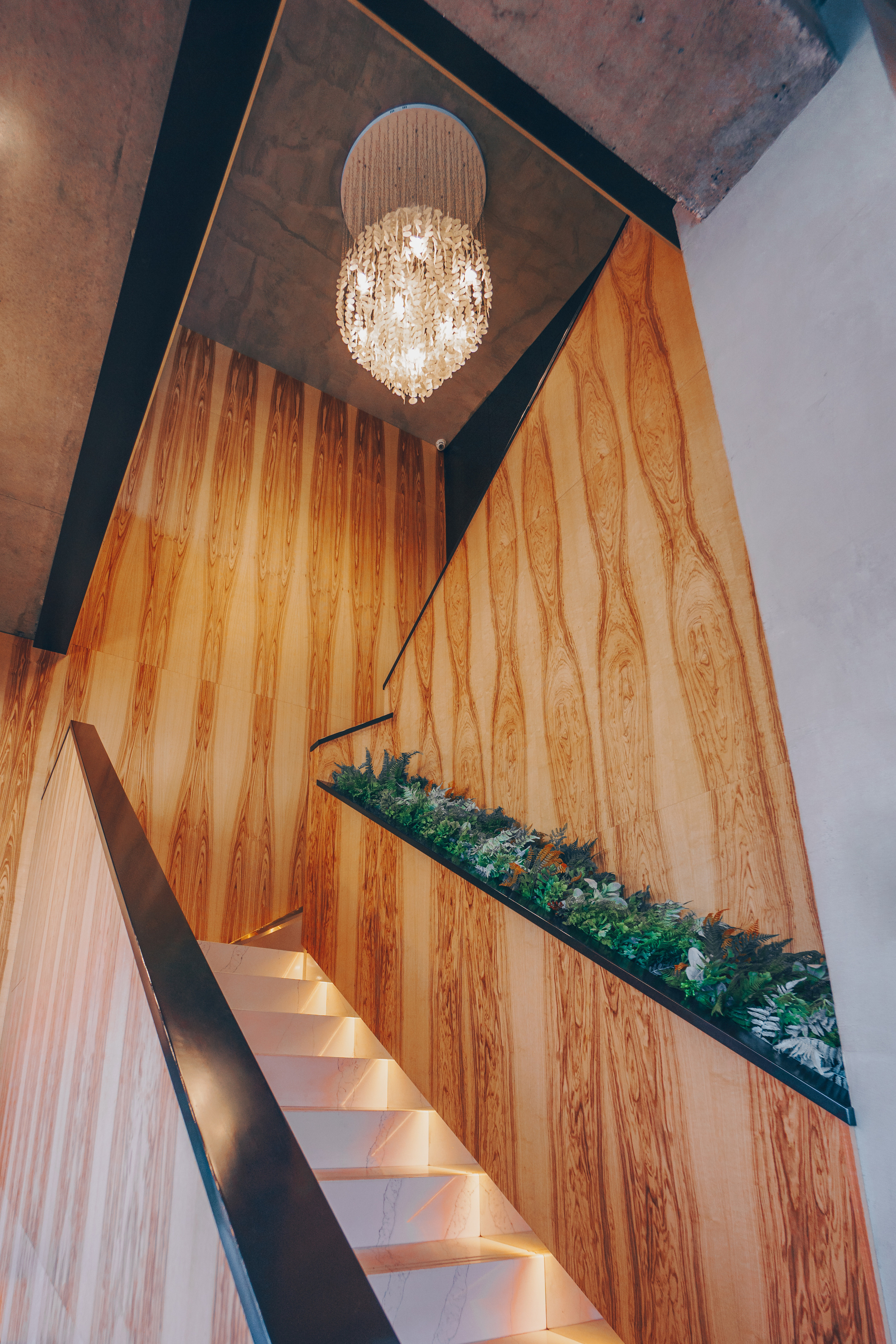 Эклерная. Фотограф