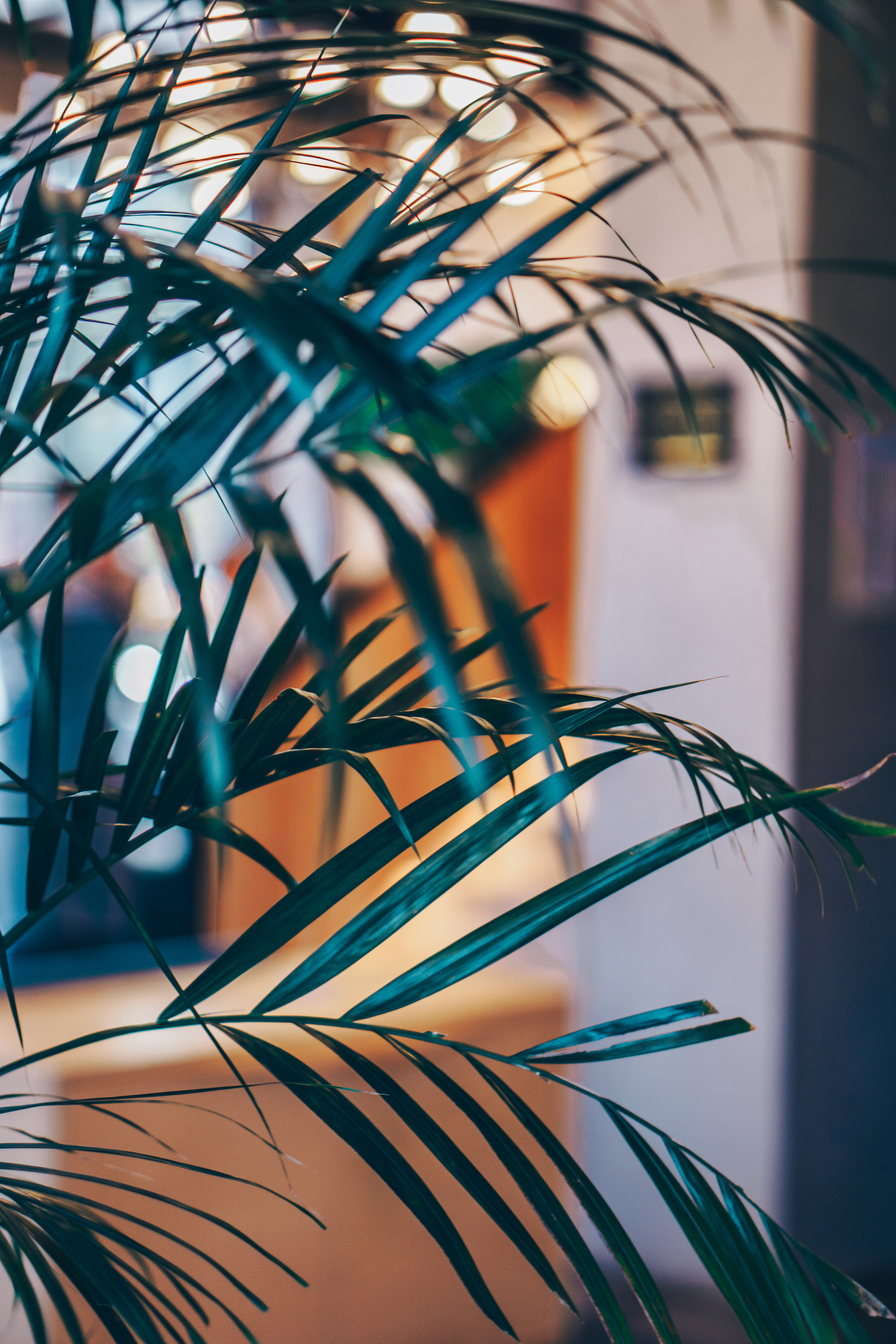 Эклерная. Фотограф