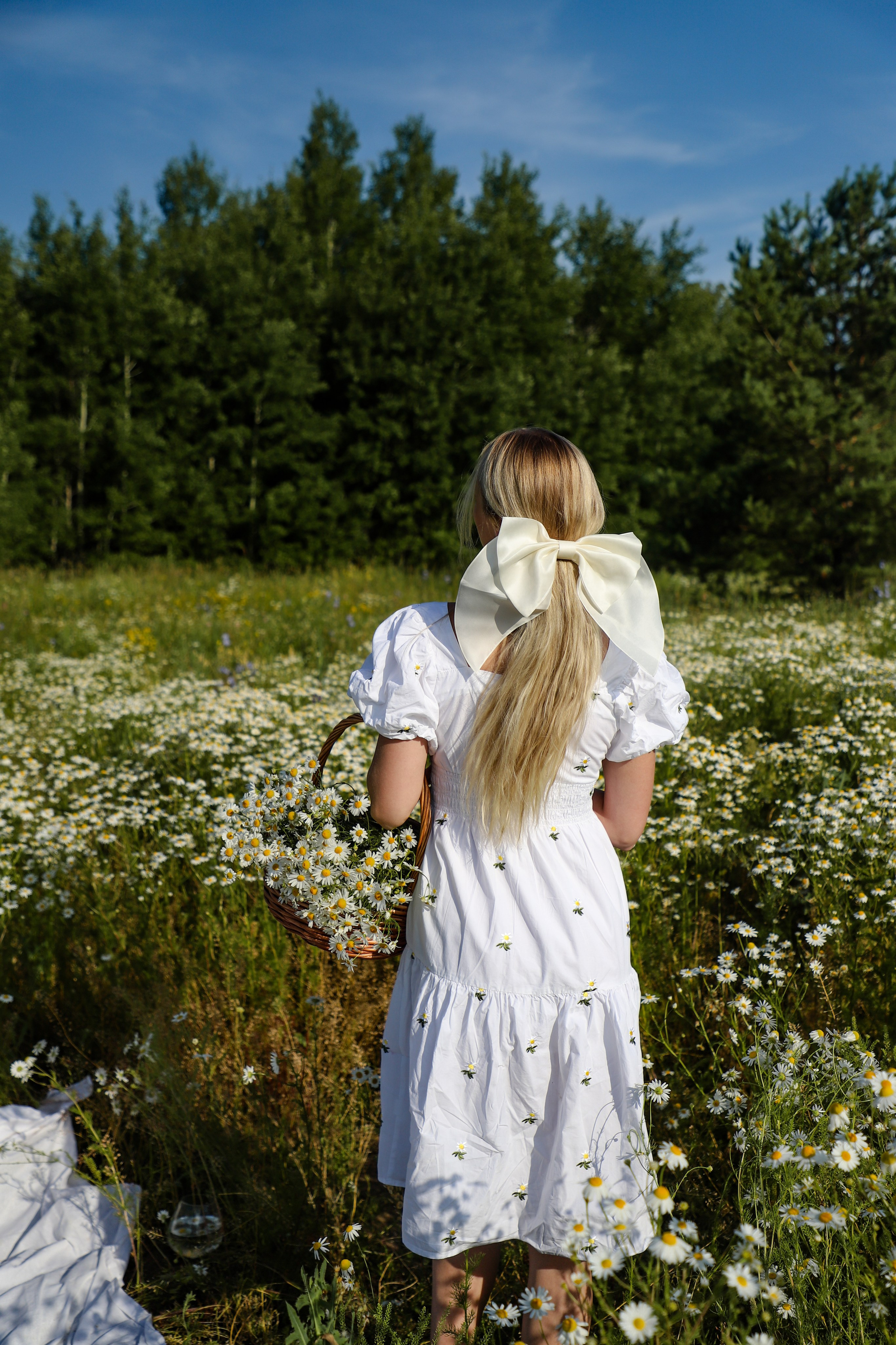 Ромашки Валентина 11.07. Главная