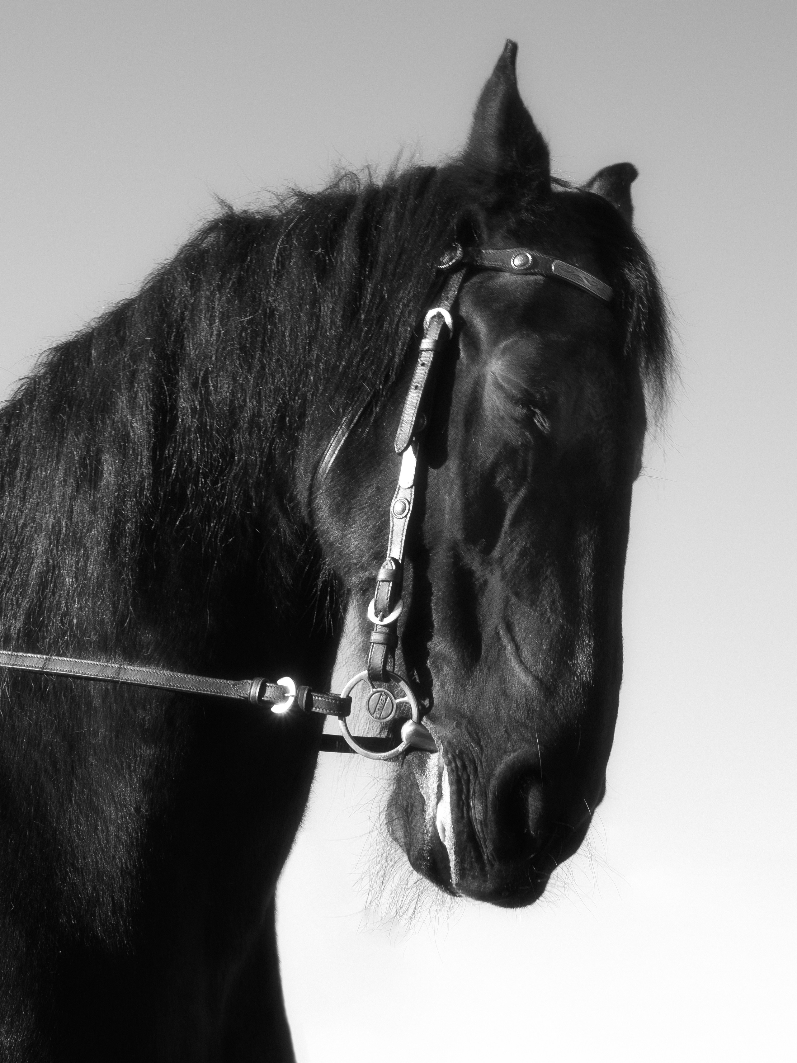 Арт директор, фотограф в СПб и Москве Картавцева Дар. Арт директор, фотограф в СПб и Москве Картавцева Дар