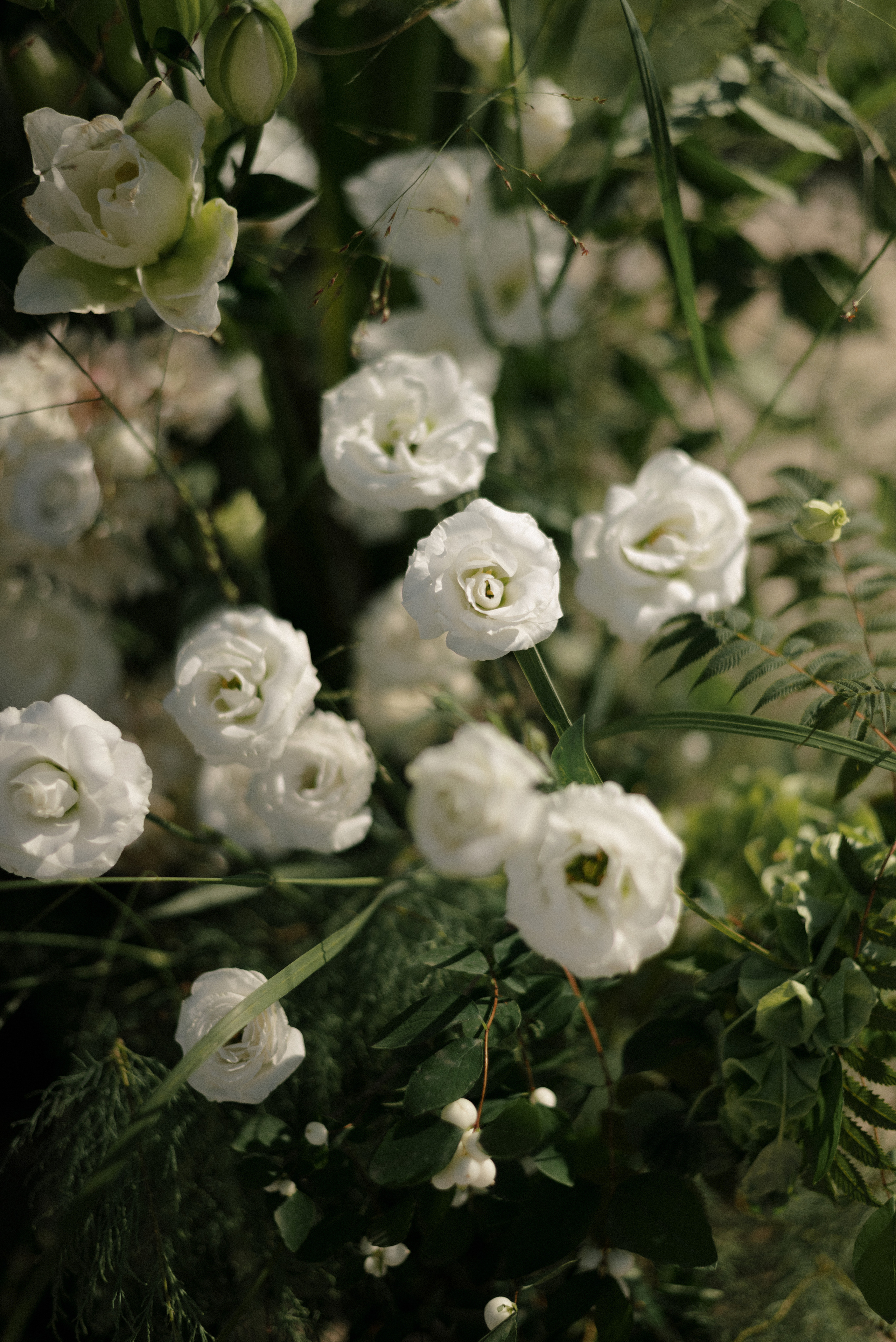 Анна & Алексей. Алёна Куртова