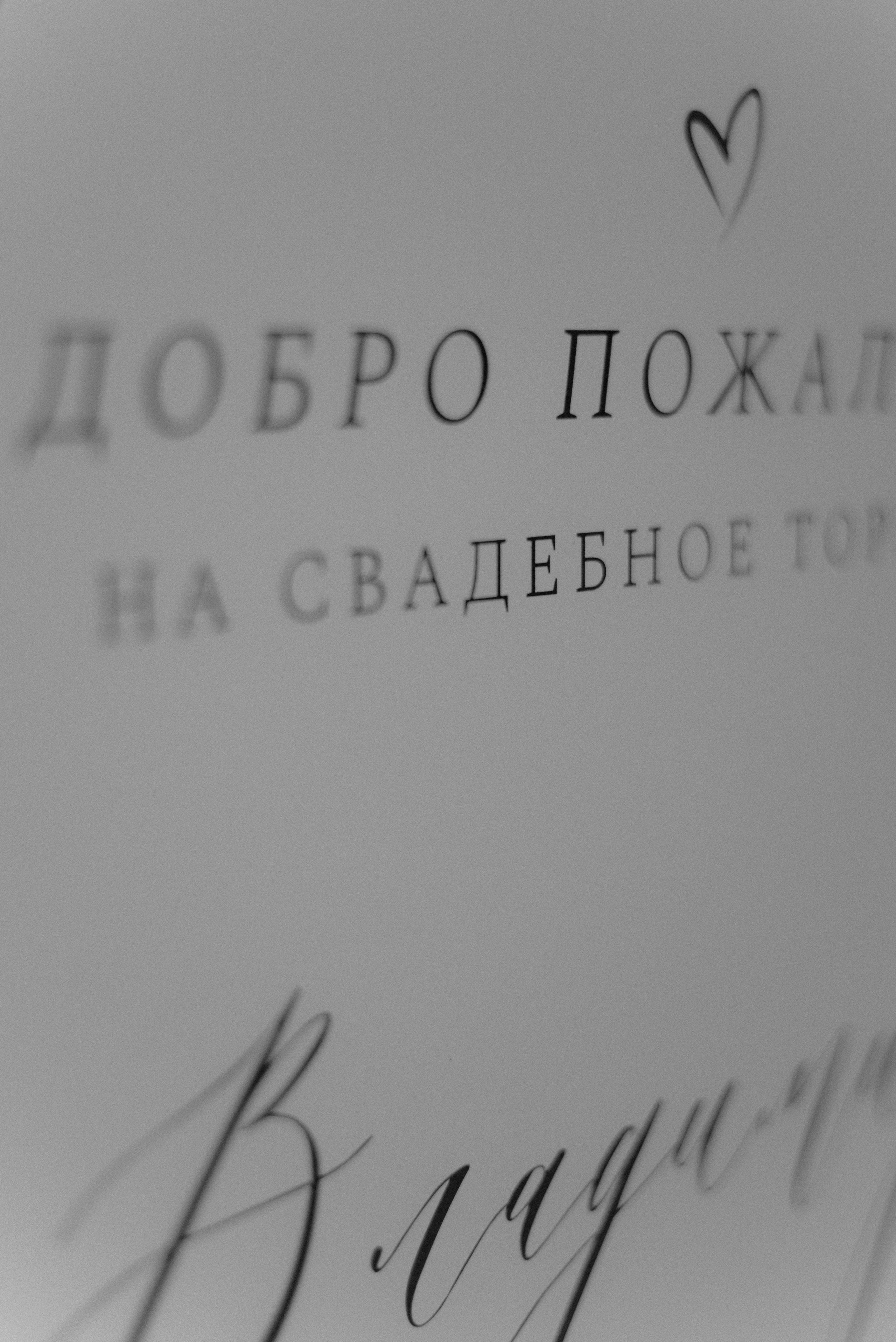 Екатерина & Владимир. Алёна Куртова