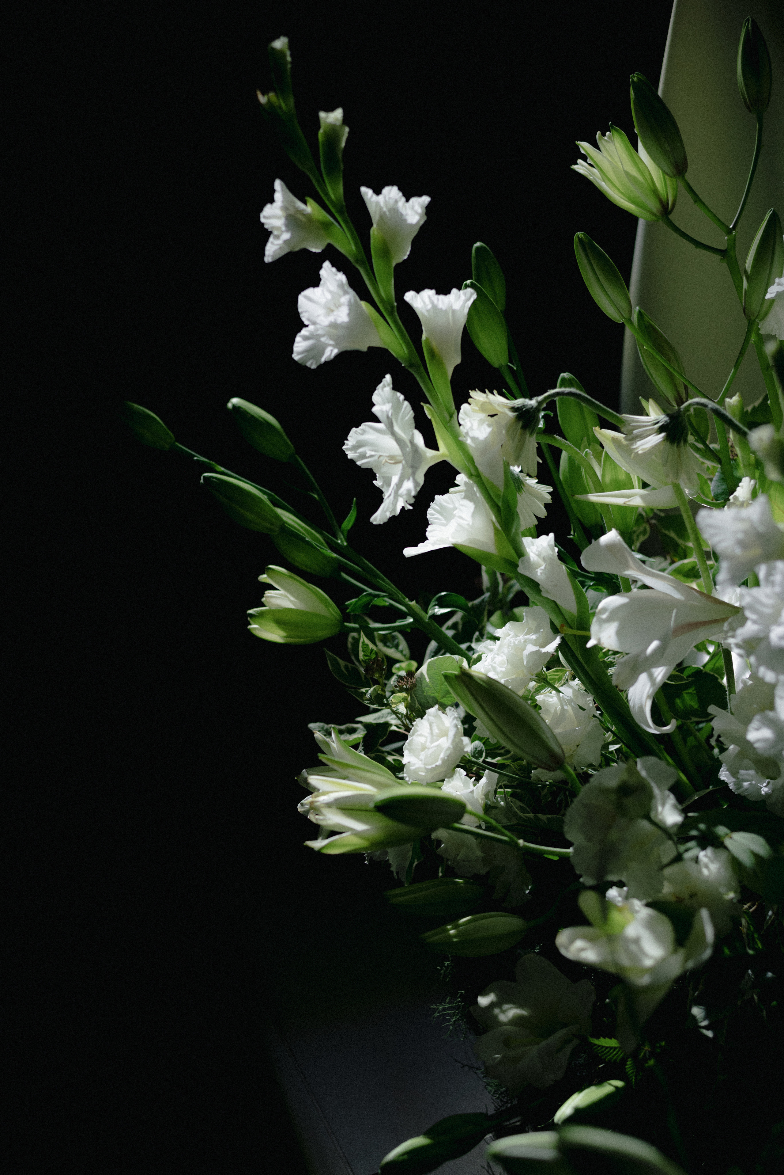 Анна & Алексей. Алёна Куртова