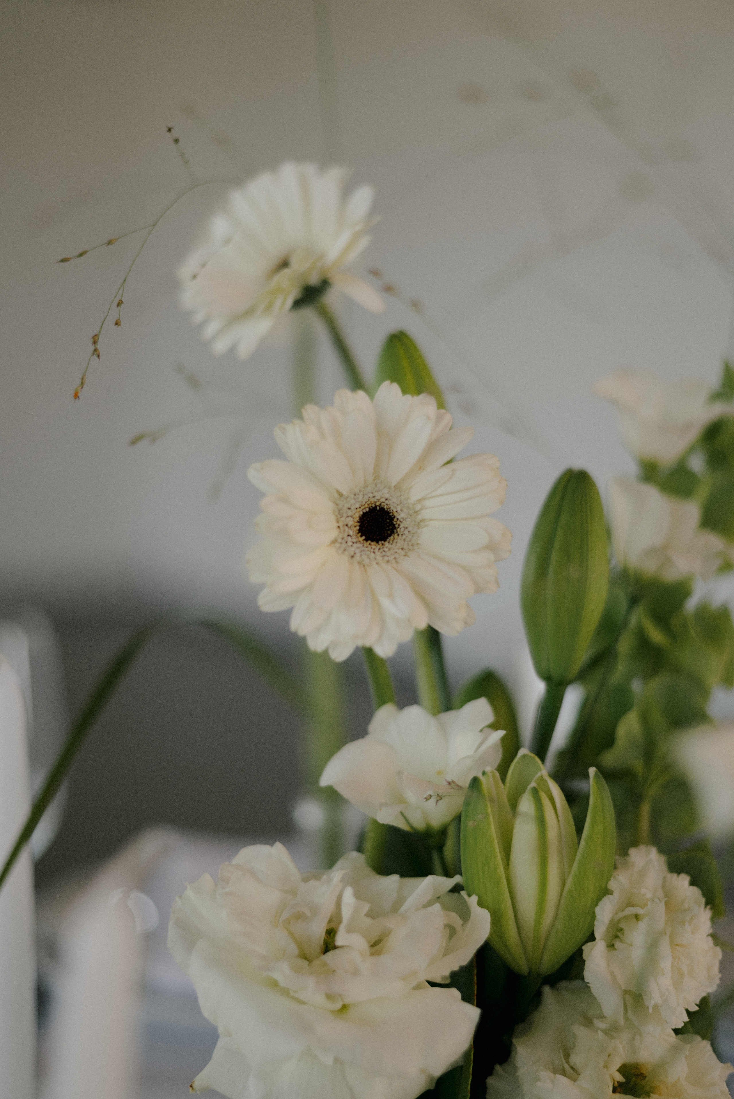 Анна & Алексей. Алёна Куртова