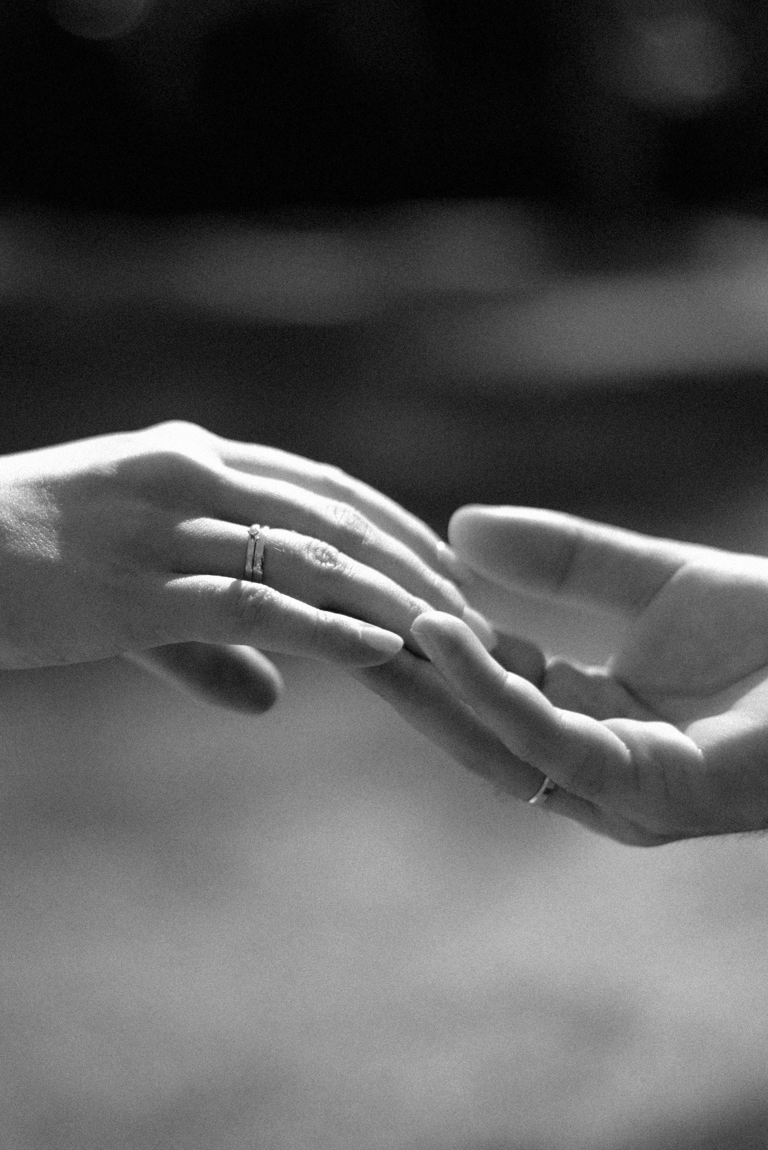 Екатерина & Владимир. Алёна Куртова