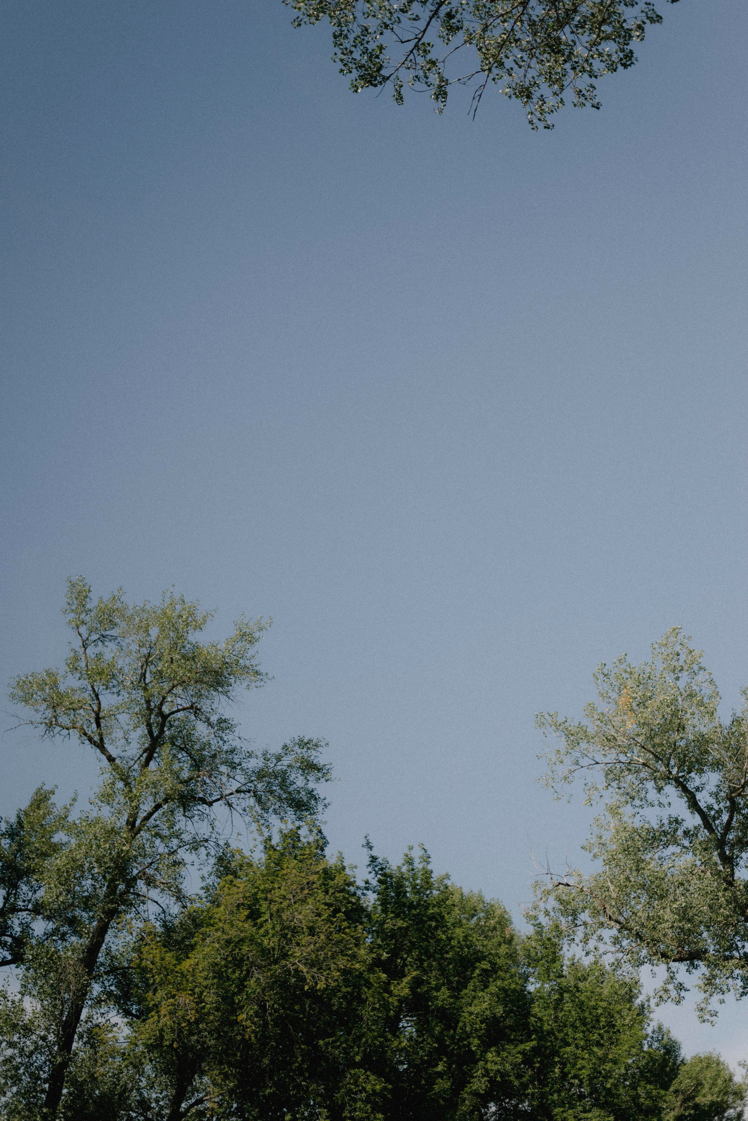 Екатерина & Владимир. Алёна Куртова