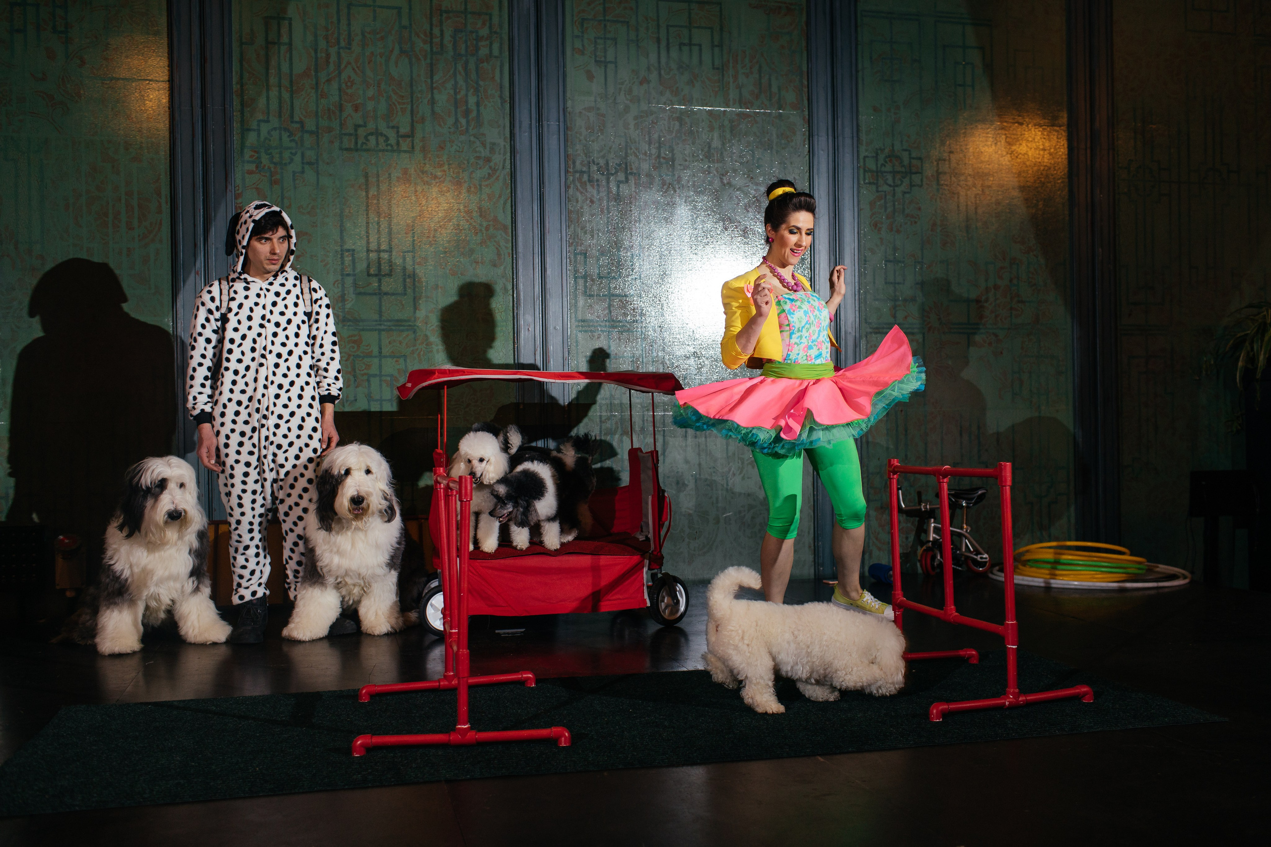 Алине 7 лет. Свадебный и семейный фотограф