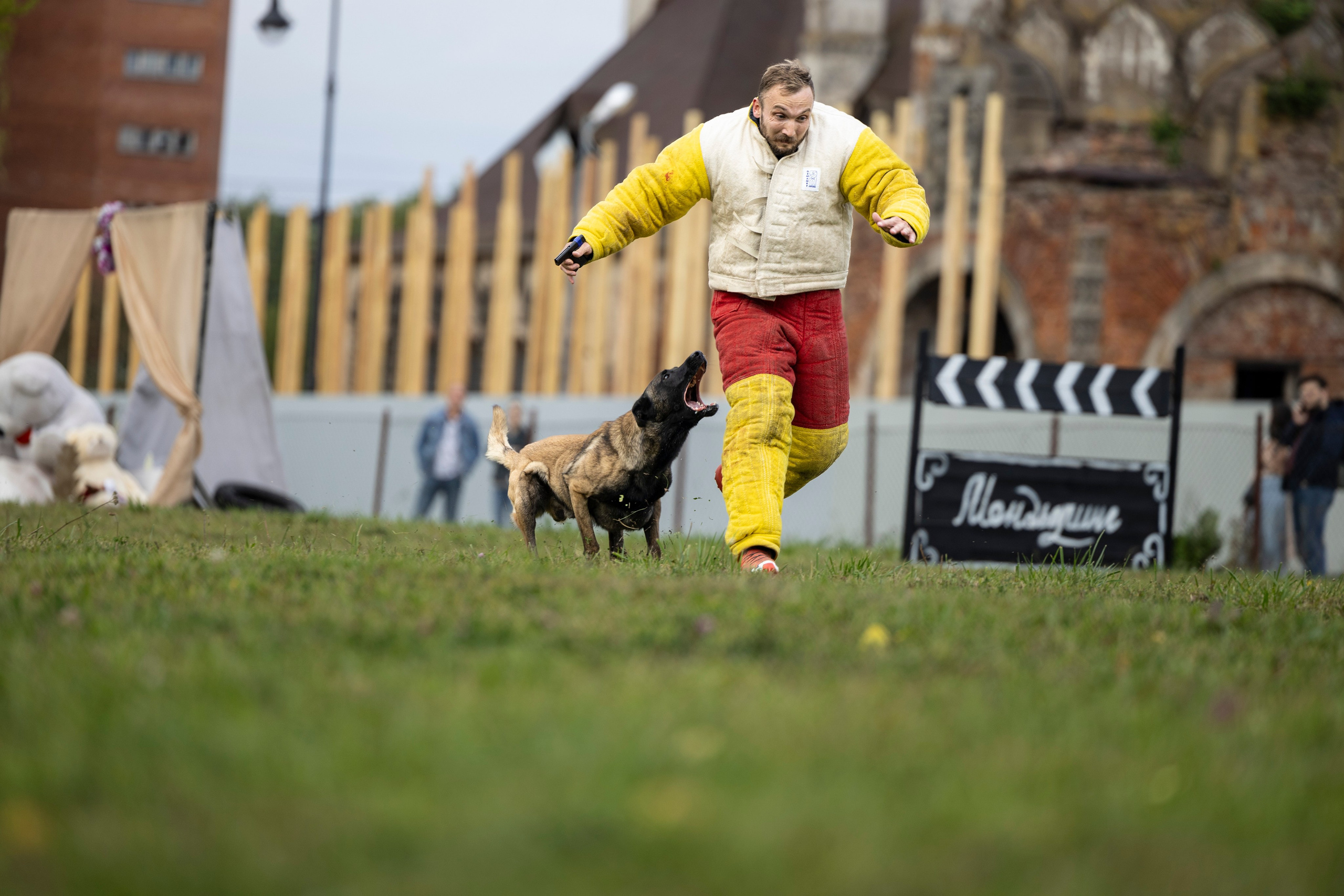 Испытания по Мондьорингу г. Пушкин. Фотограф-анималист Анна Маринич
