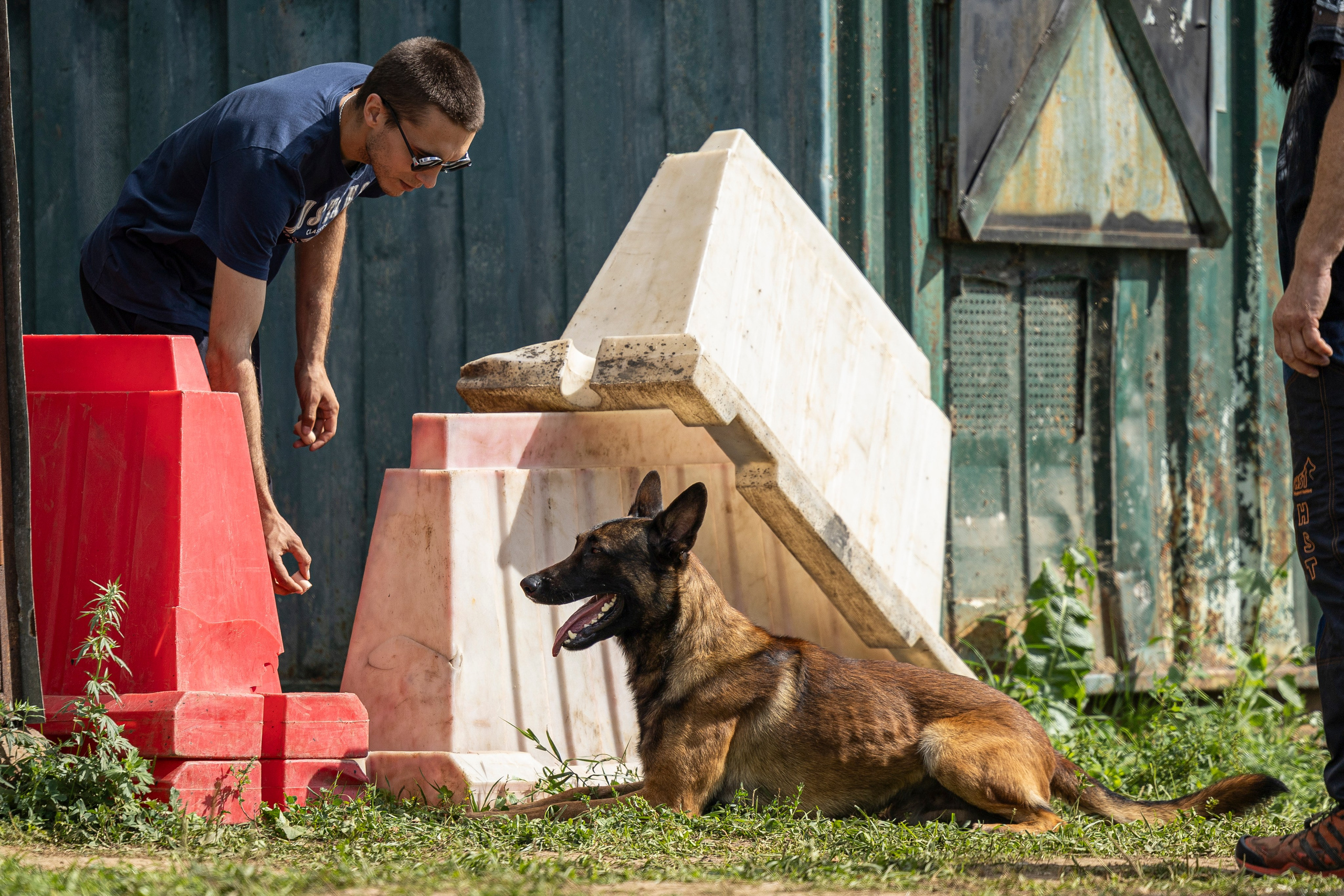 Соревнования по Мондьорингу г. Вологда 10-11.08.2024. Фотограф-анималист Анна Маринич