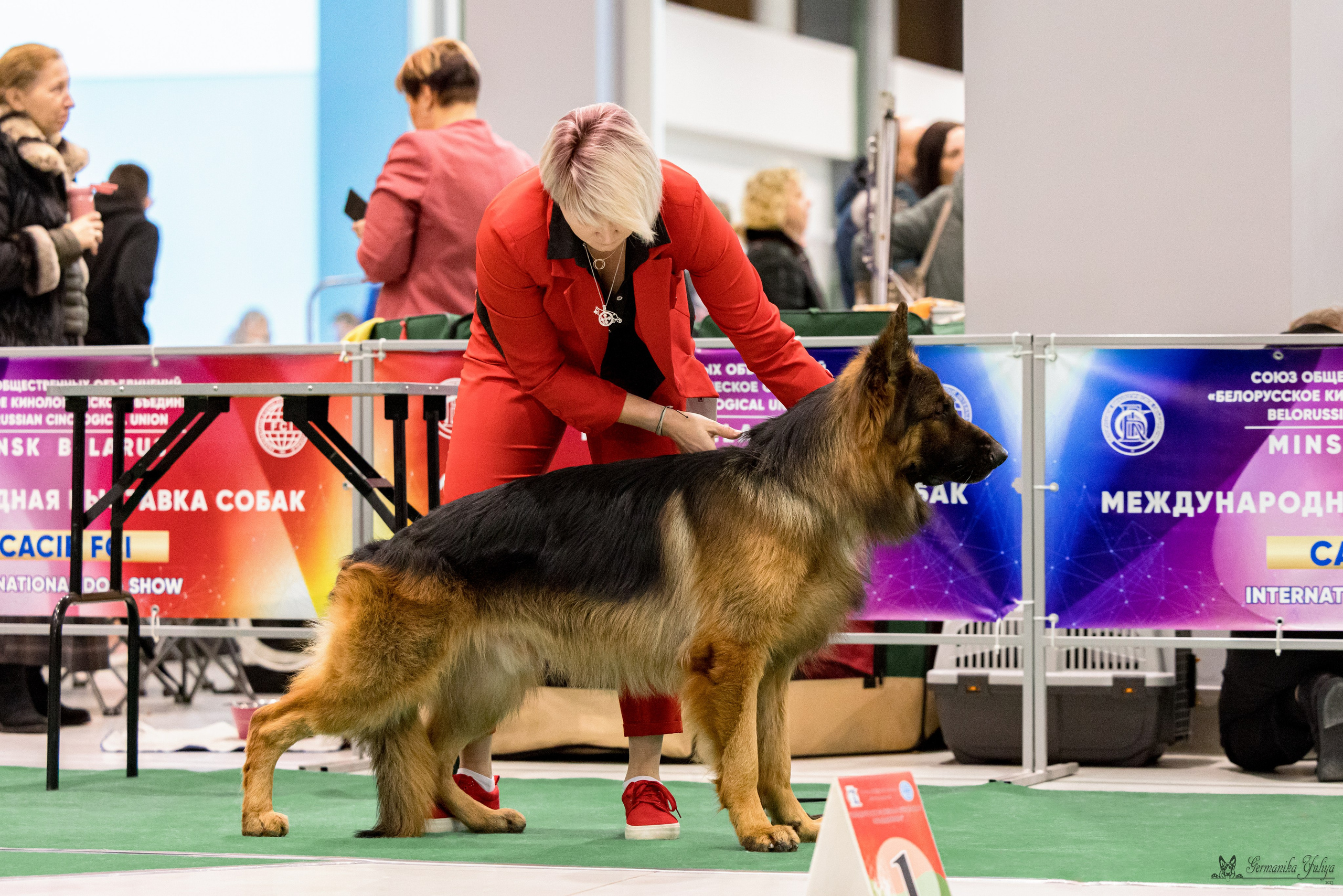 Минск 25-26.11.2023. Фотограф-анималист Юлия Германика