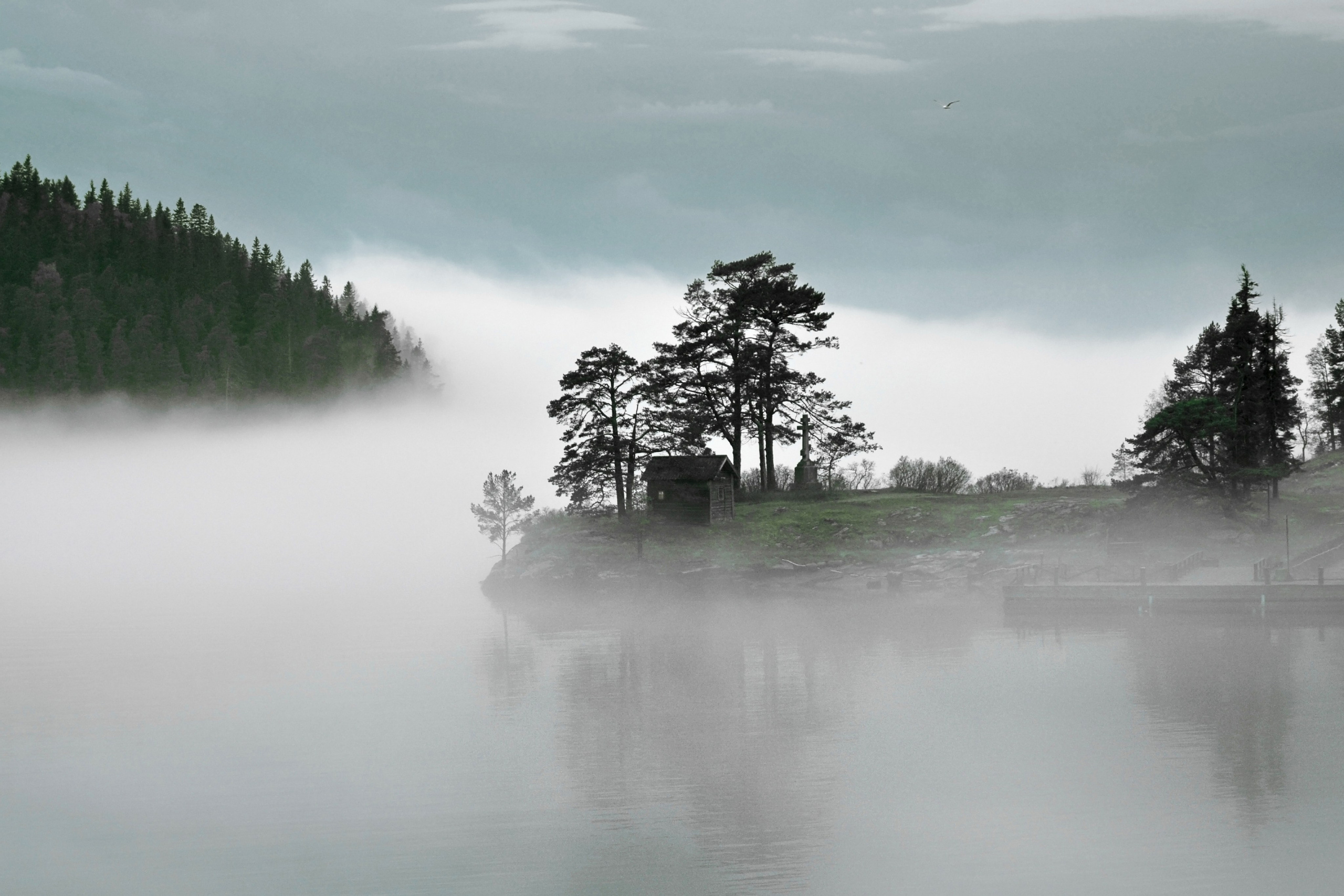 Природа. Трандин Иван Фотограф СПб