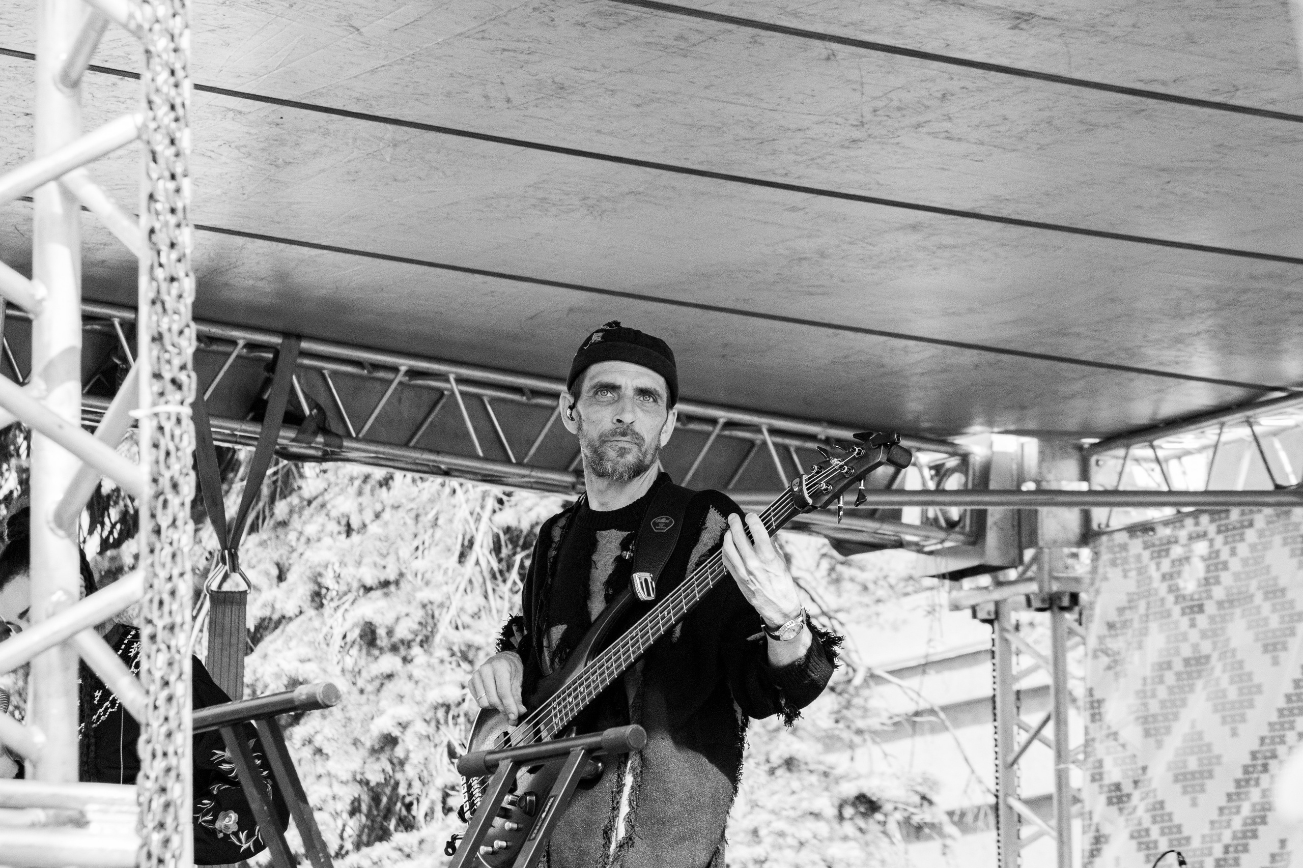 Группа "Арника", уличный фестиваль, Воронеж